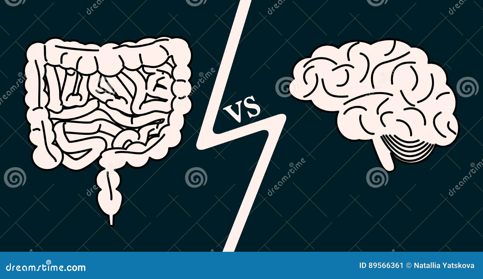 gut versus brain concept