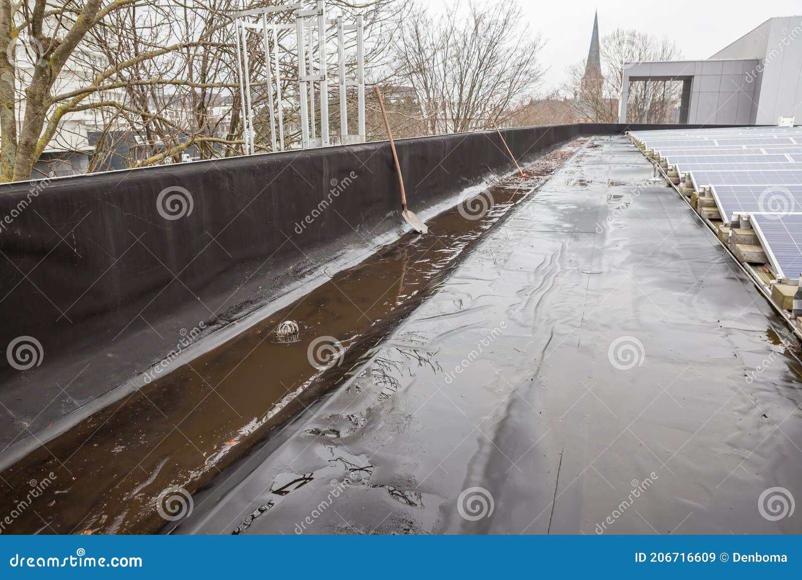 The Gutter is Blocked on a Flat Roof Stock Image Image of maintenance