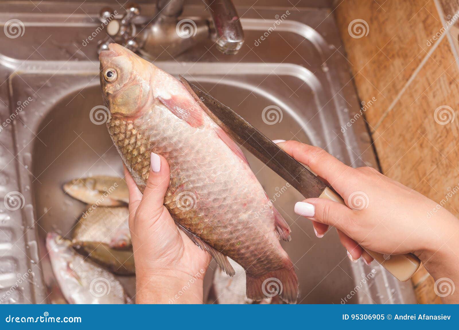 Gutting and Cleaning of Fish Over the Sink Stock Image - Image of