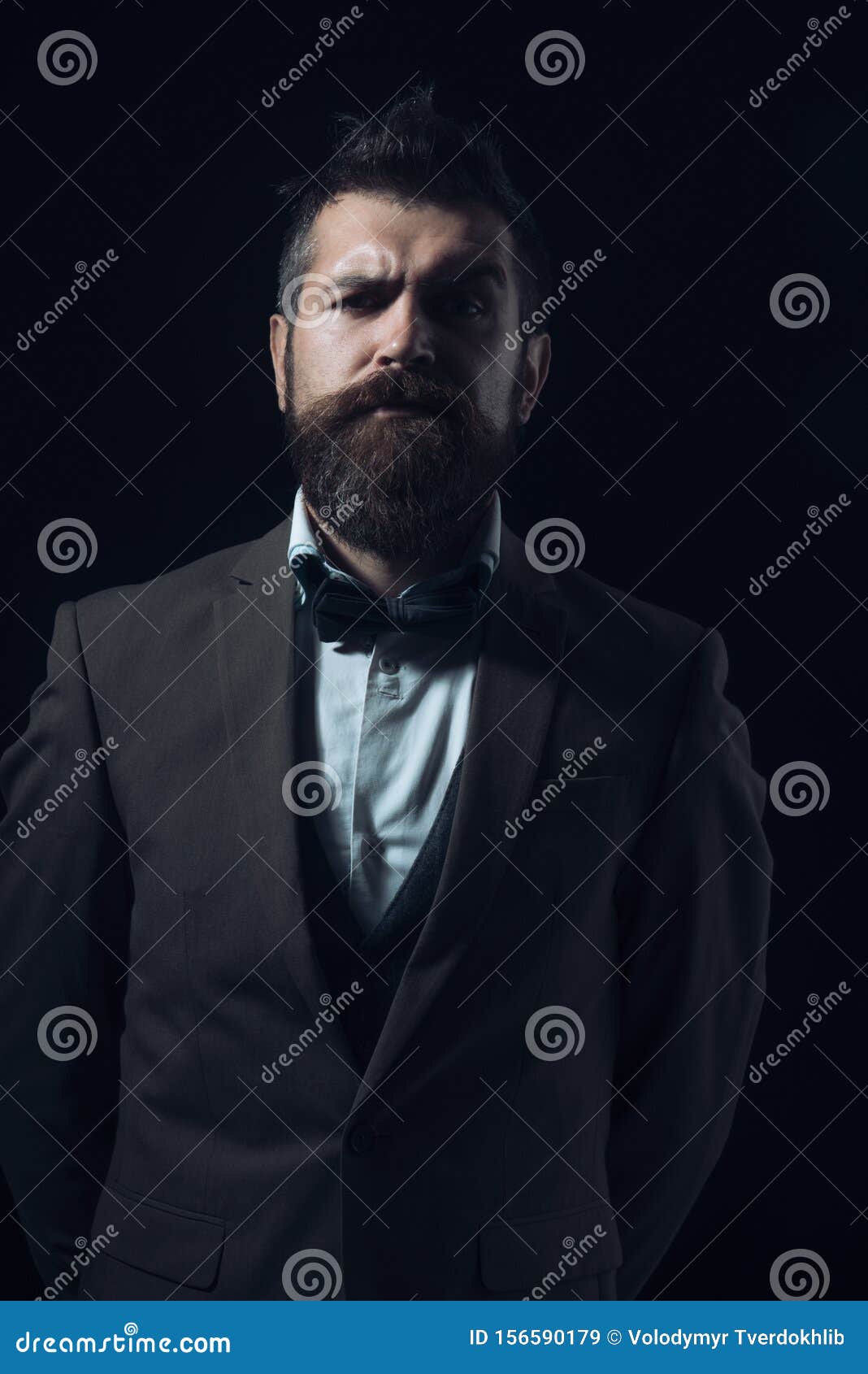 Guy with Concentrated Face in Luxury Suit with Bow Tie. Stock Image ...