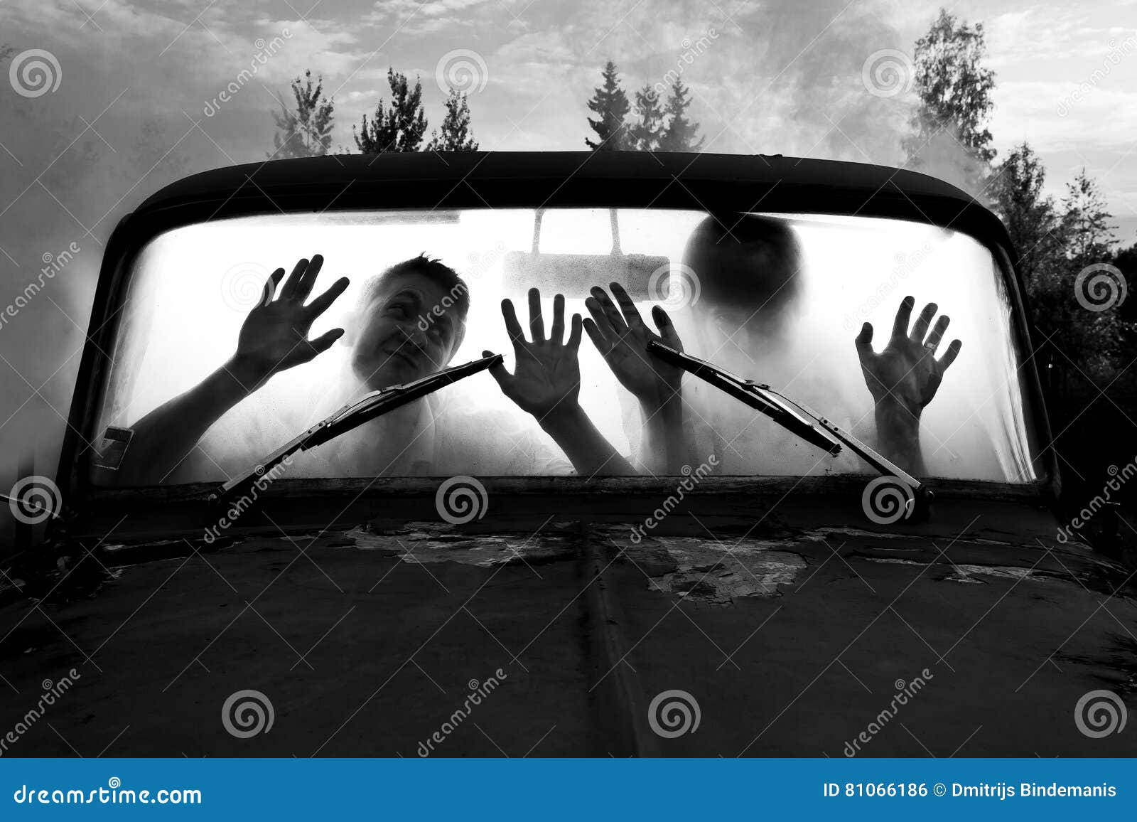 1,691 Car Interior Steam Stock Photos - Free & Royalty-Free Stock Photos  from Dreamstime