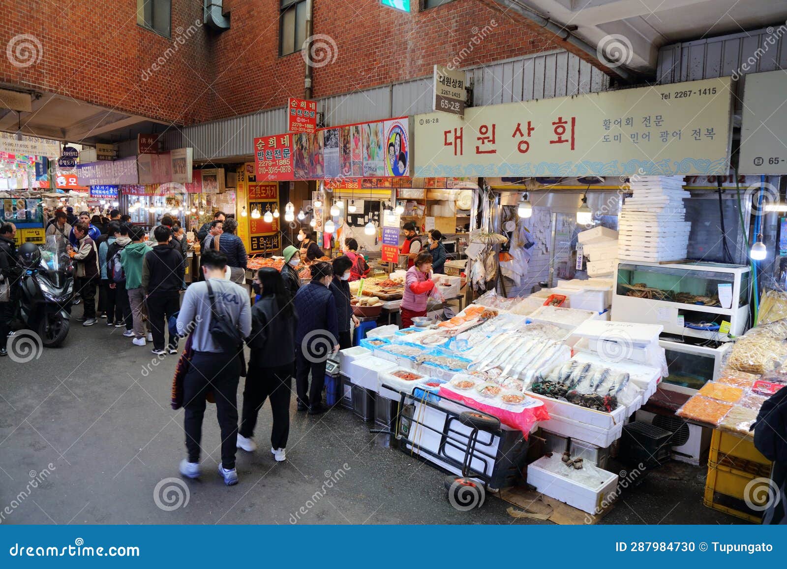 Gwangjang Market Food in Seoul Editorial Image - Image of seafood