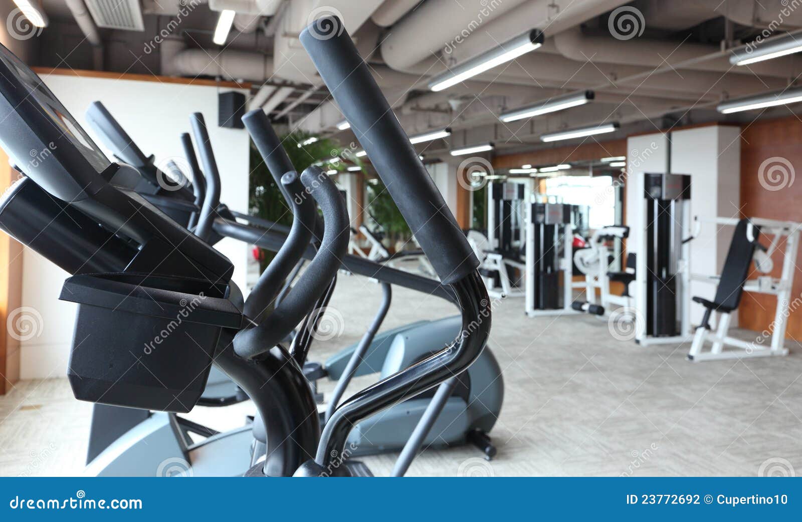 Gym Equipment Stock Photography Image 23772692