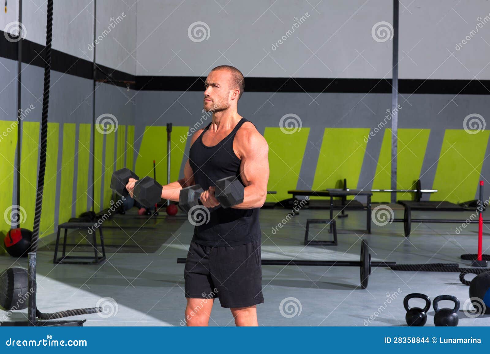 Gym Man with Dumbbells Exercise Crossfit Stock Photo Image of