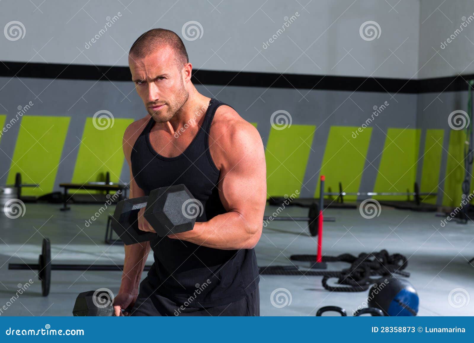 Gym Man with Dumbbells Exercise Crossfit Stock Image Image of