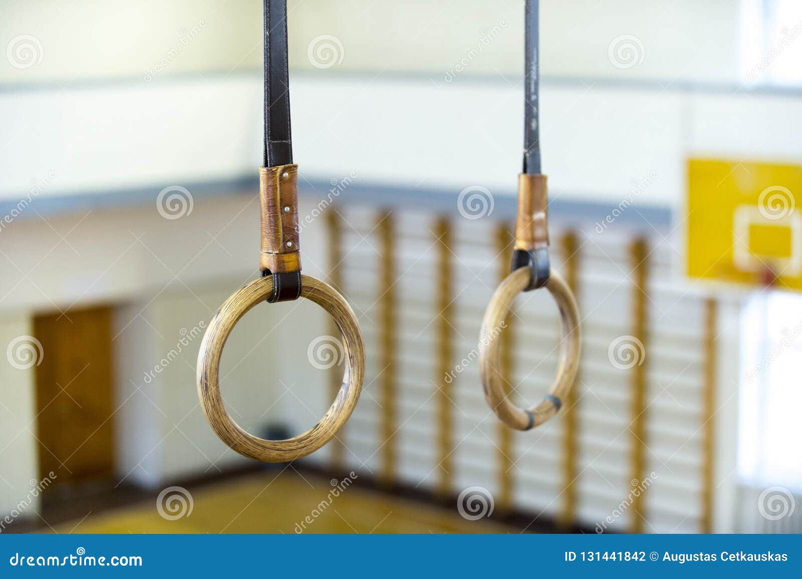 Teenage Caucasian boy hanging on gymnastic rings at the playground: Royalty  Free #73375266