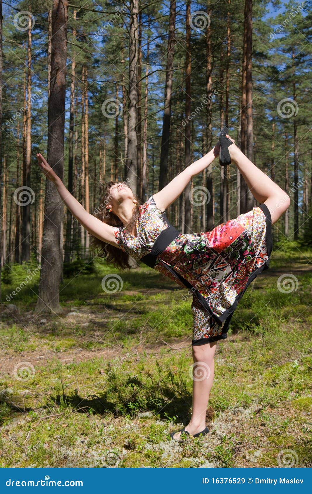 Gymnastics in wood stock image. Image of freedom, summer - 16376529