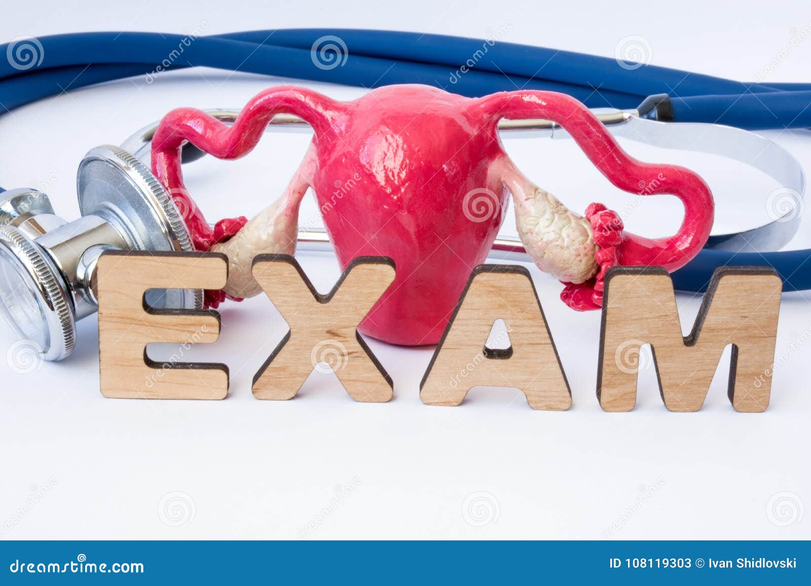 gynecological examination or exam in gynecology concept. model of uterus with ovaries is near stethoscope and word exam composed o