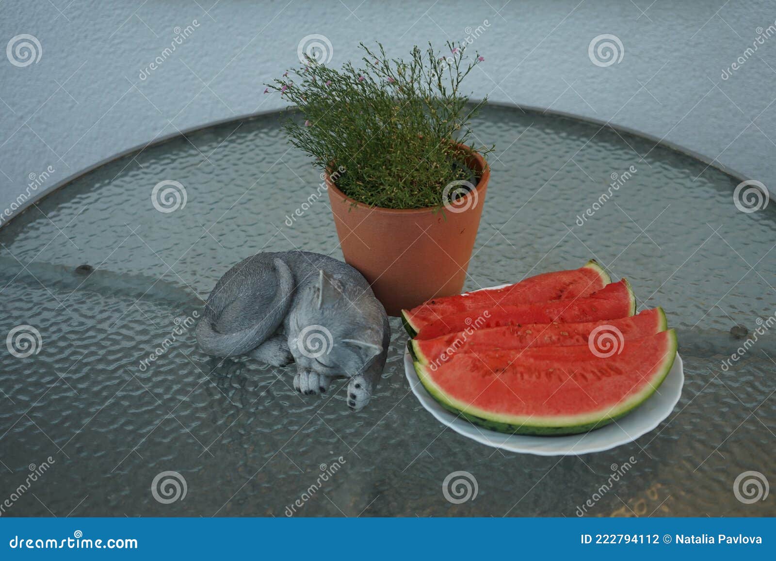 Karakteriseren vrijgesteld Diploma Gypsophila Muralis Piepende Diepe Roos in Een Bloempot En Gesneden  Watermeloen Op Een Tuintafel in De Zomer. Berlijn Duitsland Stock Foto -  Image of versheid, tuin: 222794112