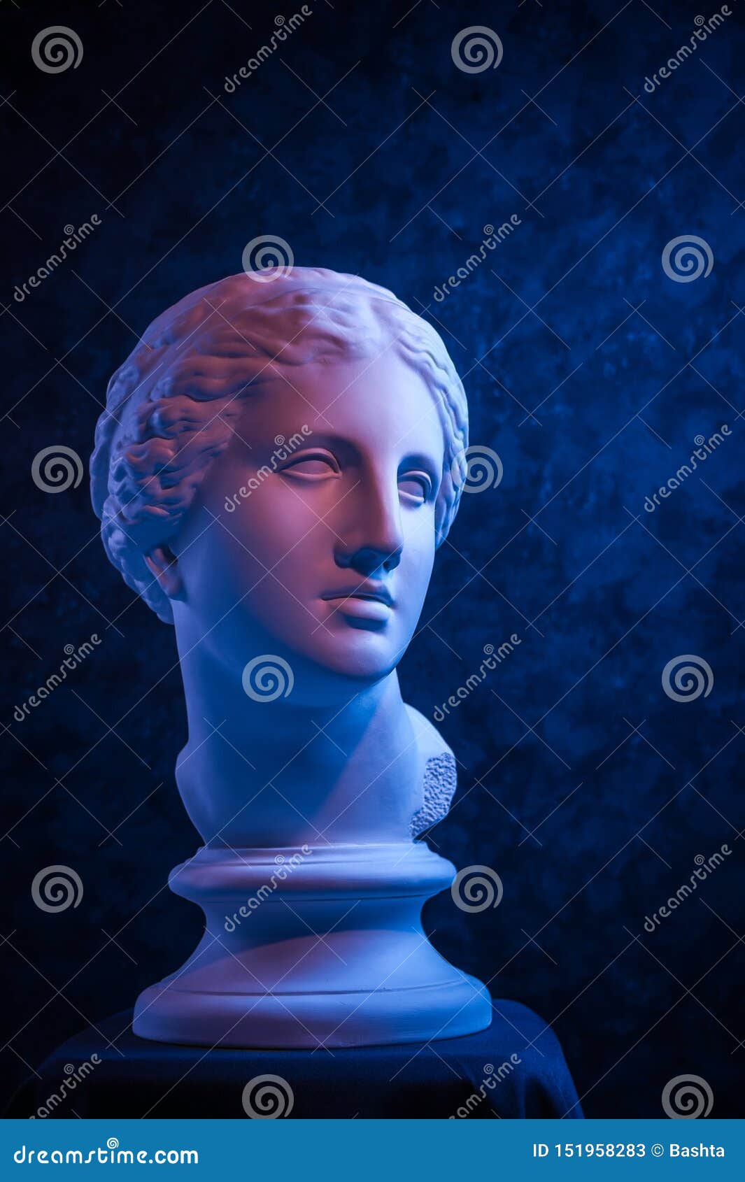 gypsum copy of ancient statue venus head on a dark blue textured background. plaster sculpture woman face.