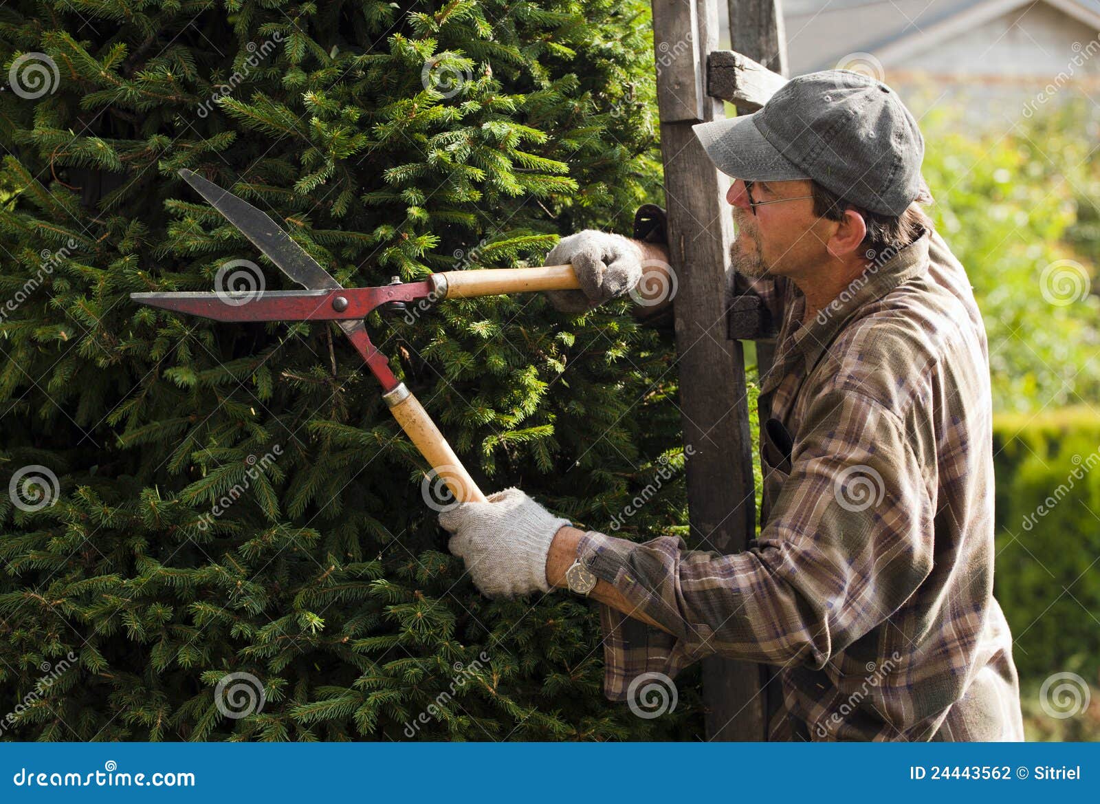 Gärtner während der Arbeit stockfoto. Bild von liebhaberei 24443562