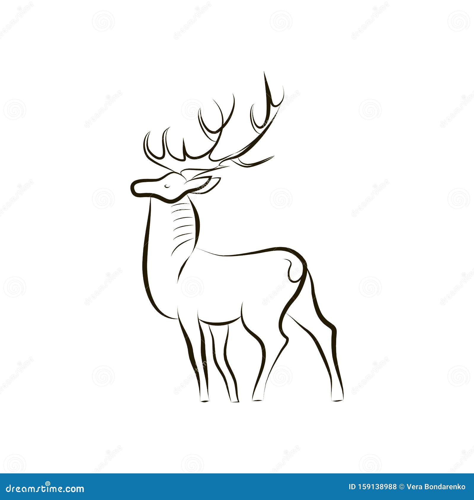Handezeichnung Schwarz Weiss Hirsch Seitenansicht Vektor Abbildung Illustration Von Schwarz Handezeichnung