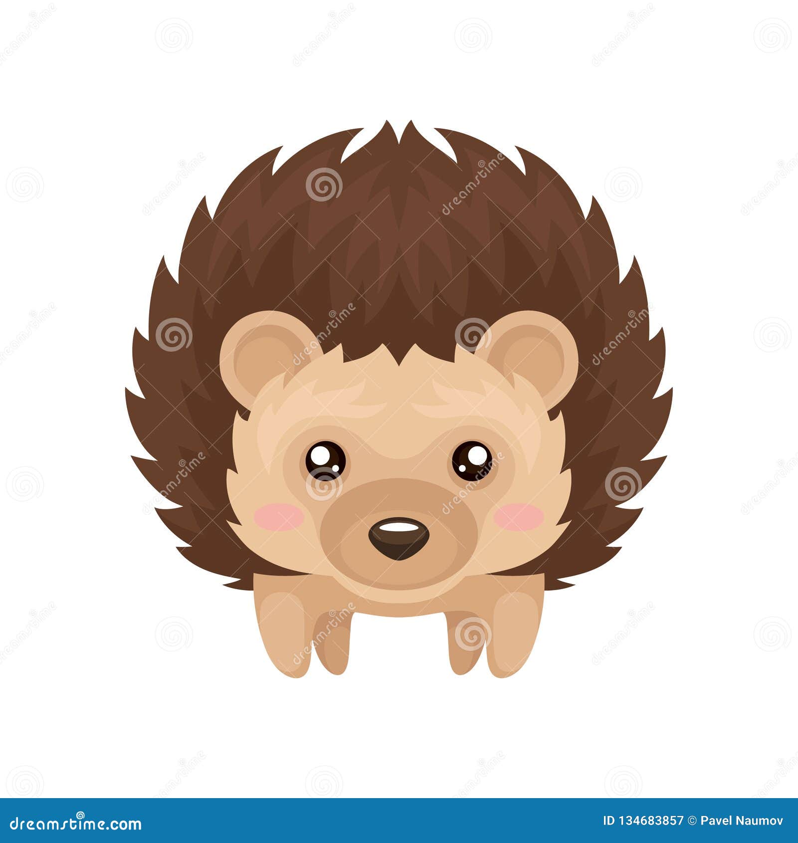 Herisson Mignon Beau Personnage De Dessin Anime Animal Epineux Doux Illustration De Vecteur De Vue De Face Sur Un Fond Blanc Illustration De Vecteur Illustration Du Doux Illustration 134683857