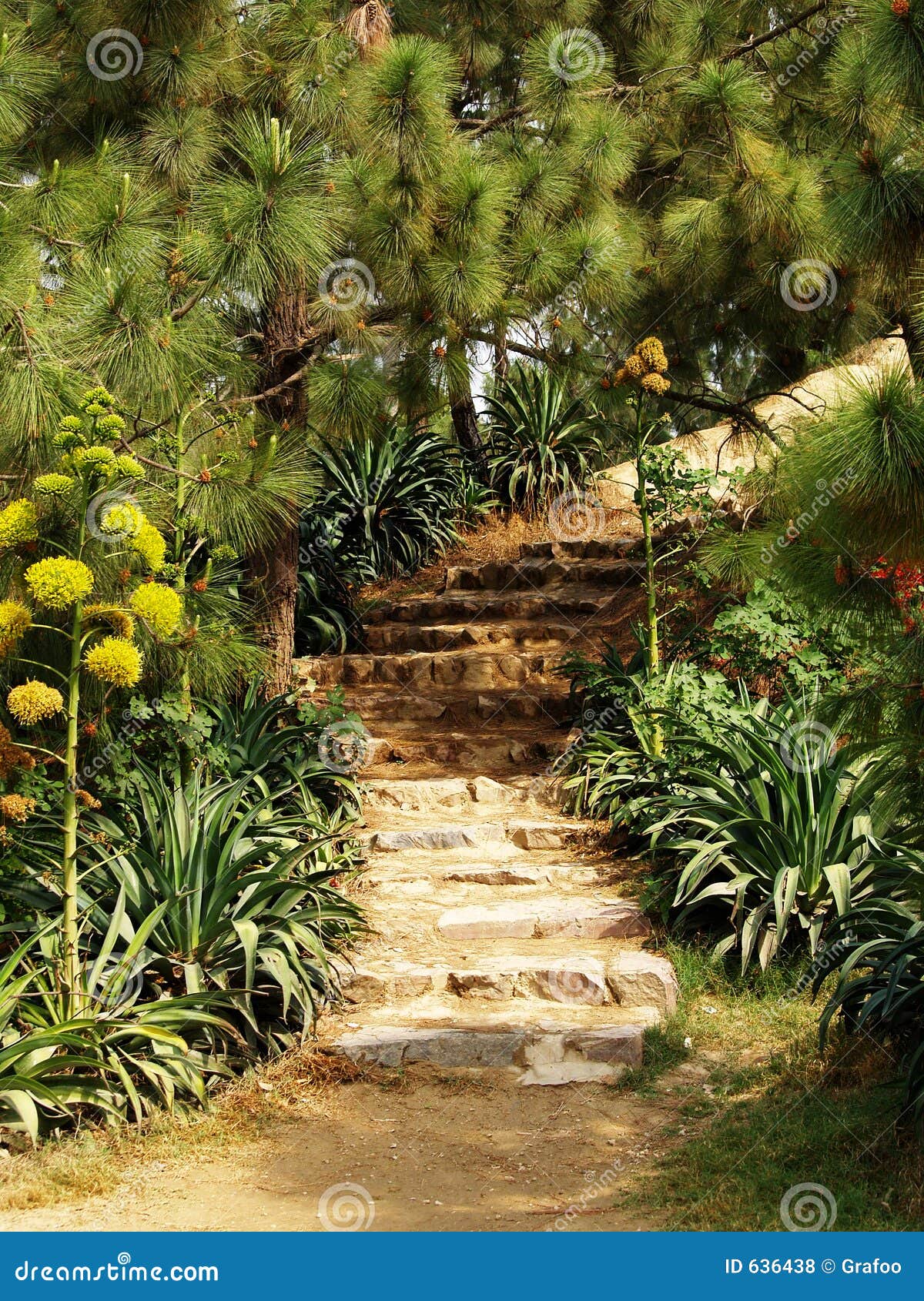 Hugel Garten Stockfoto Bild Von Blatter Phantasie Romantisch