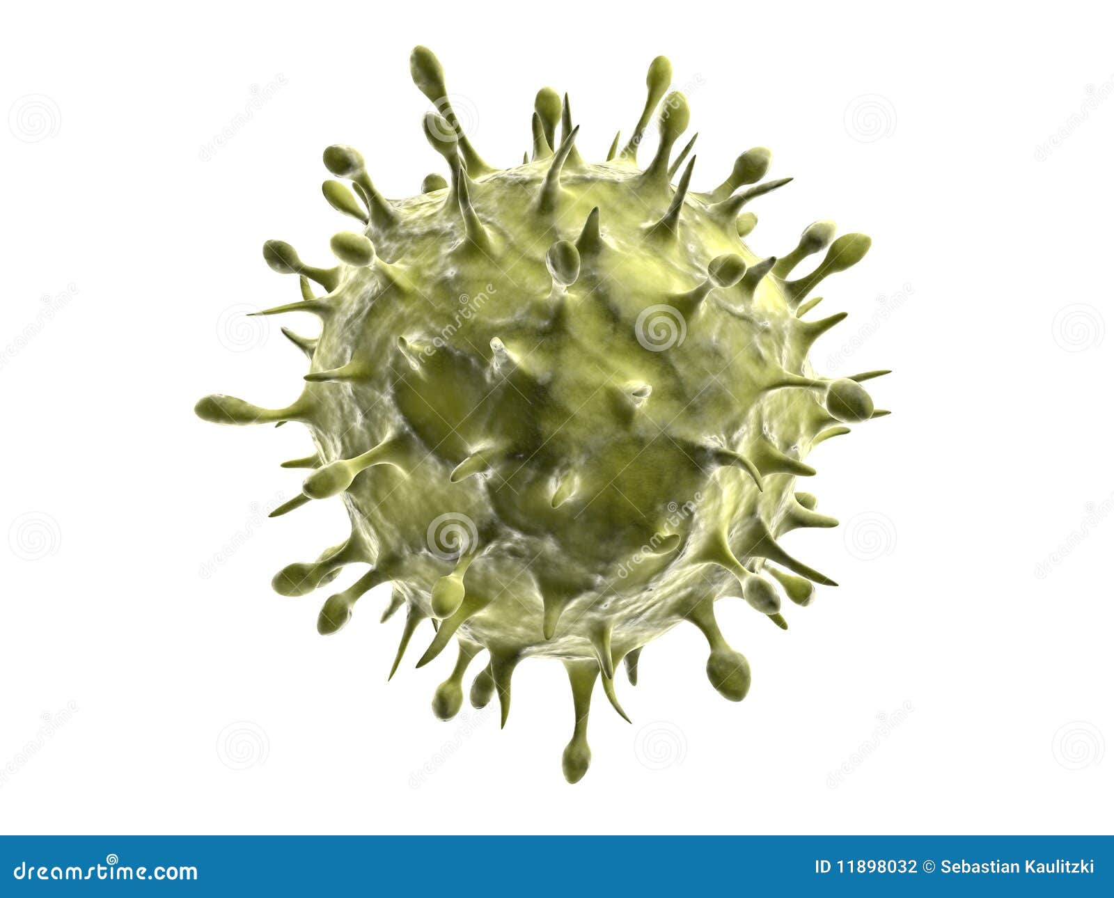 h1n1 virus