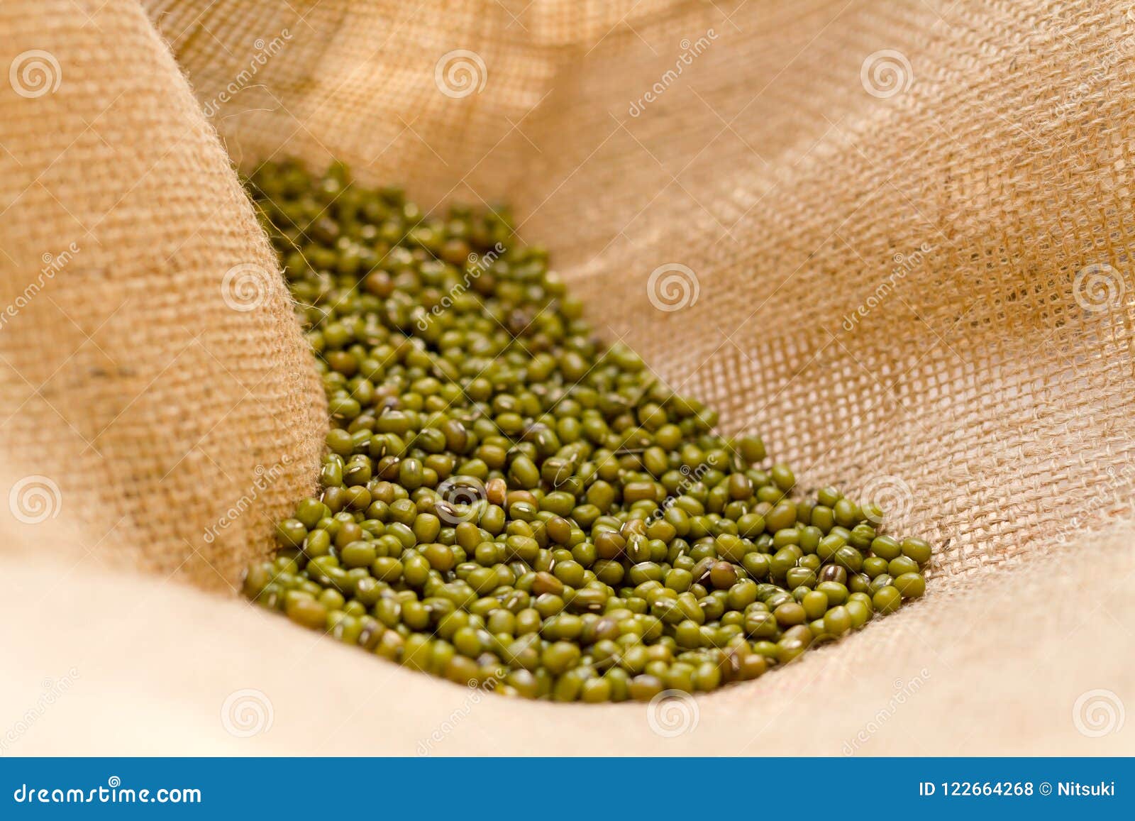 Bolso De Haba Fotografía De La Foto Verde Bolso De Haba Fotografía De La Foto Verde
