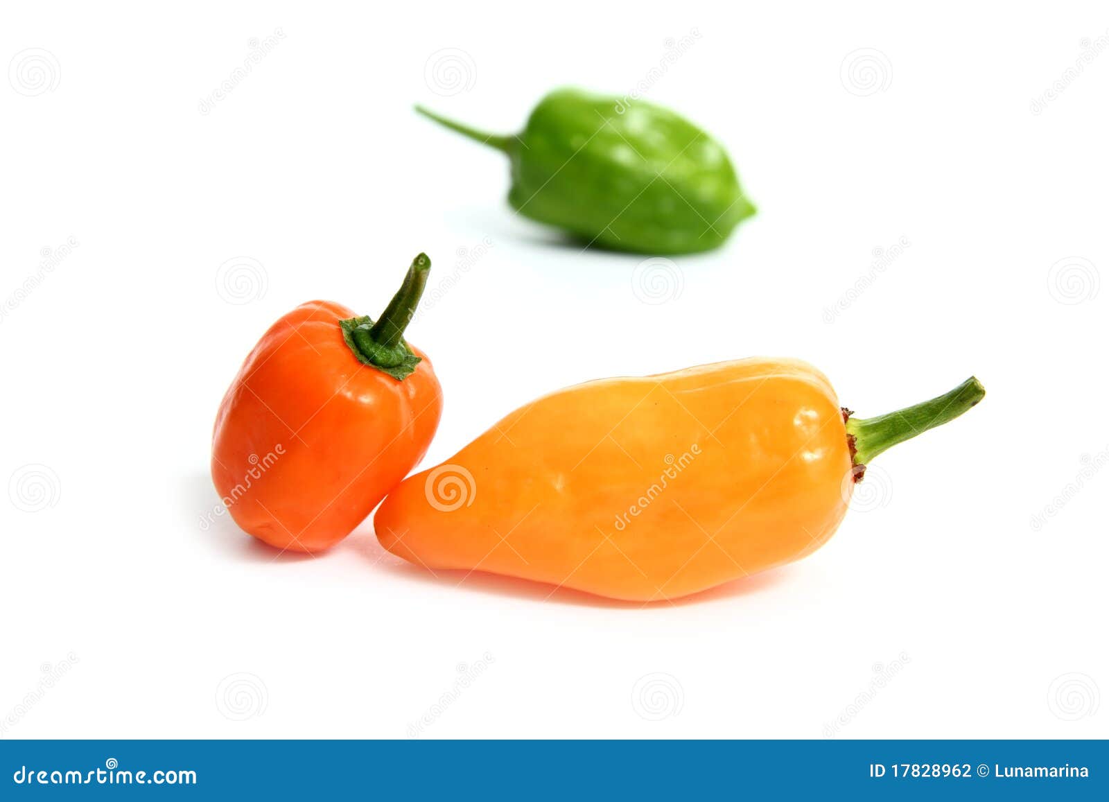 habanero capsicum chili hottest pepper