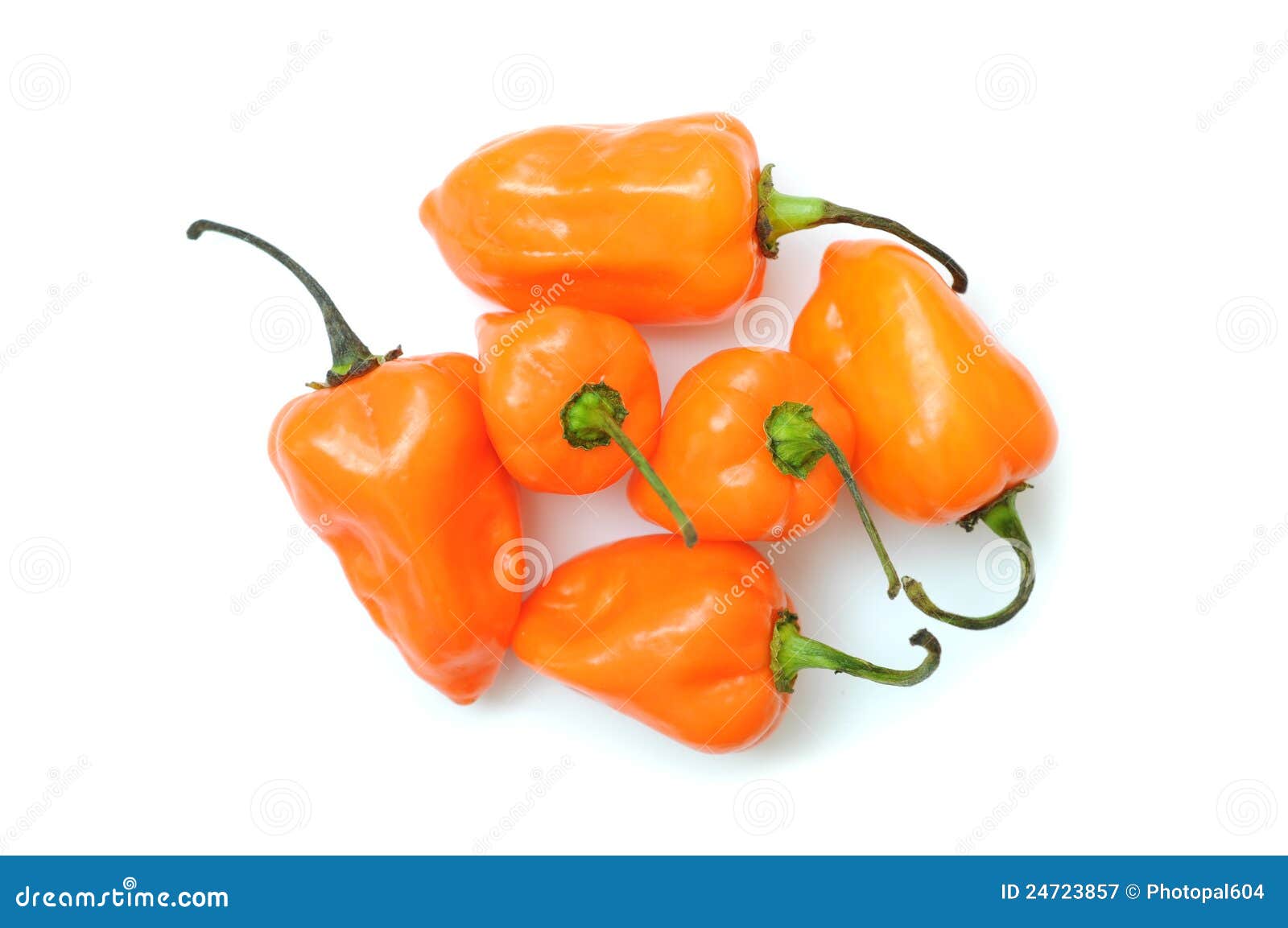 habanero pepper