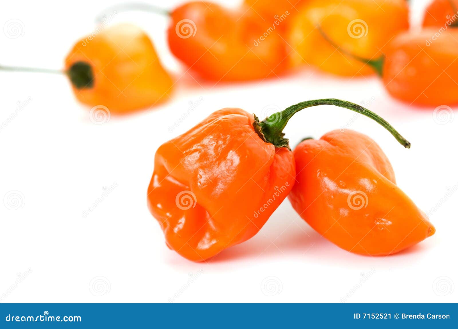Habanero Peppers stock image. Image of spice, vegetable 7152521