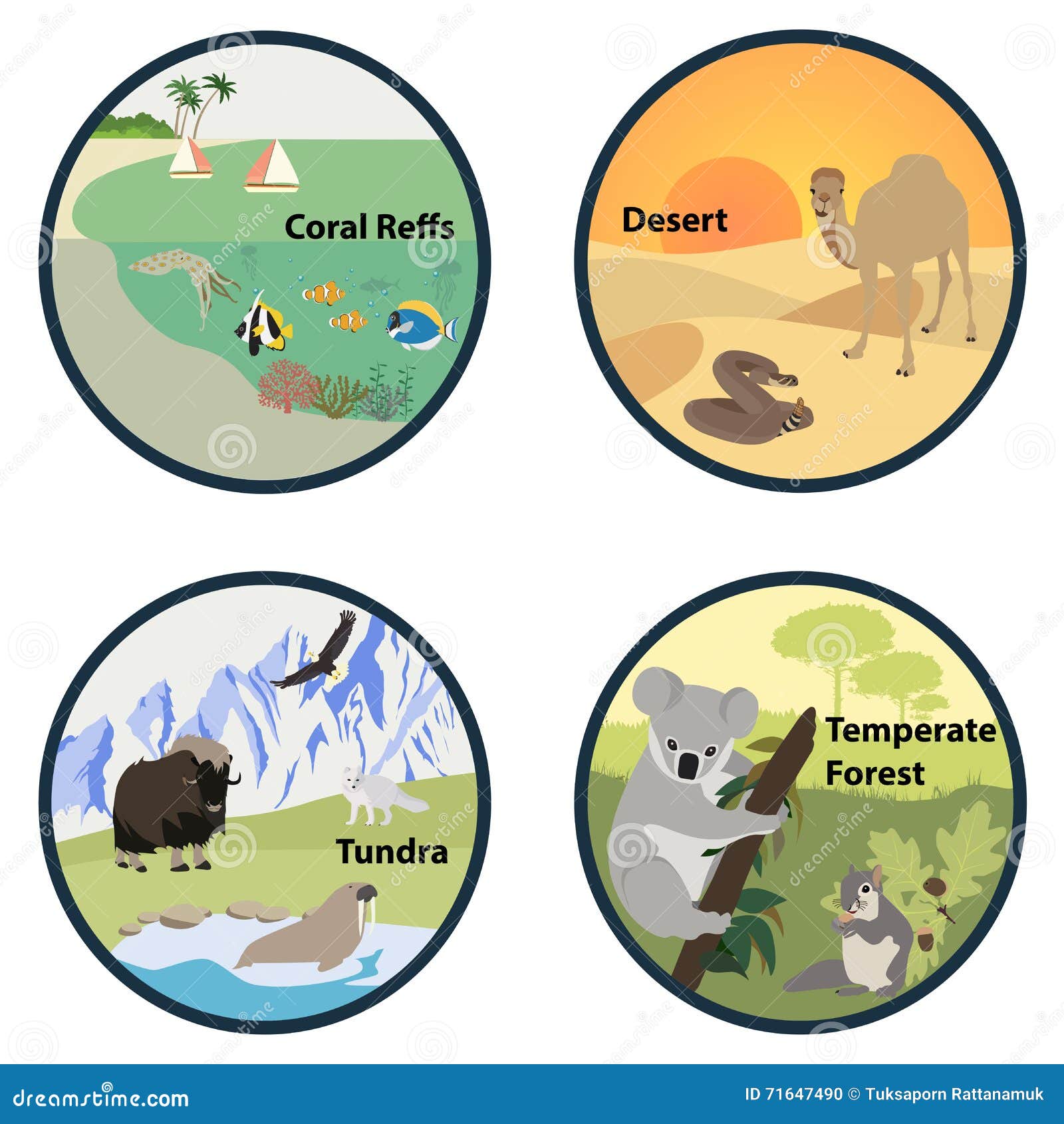 Habitat Van De Wereld Vectorreeks Vector Illustratie Illustration of