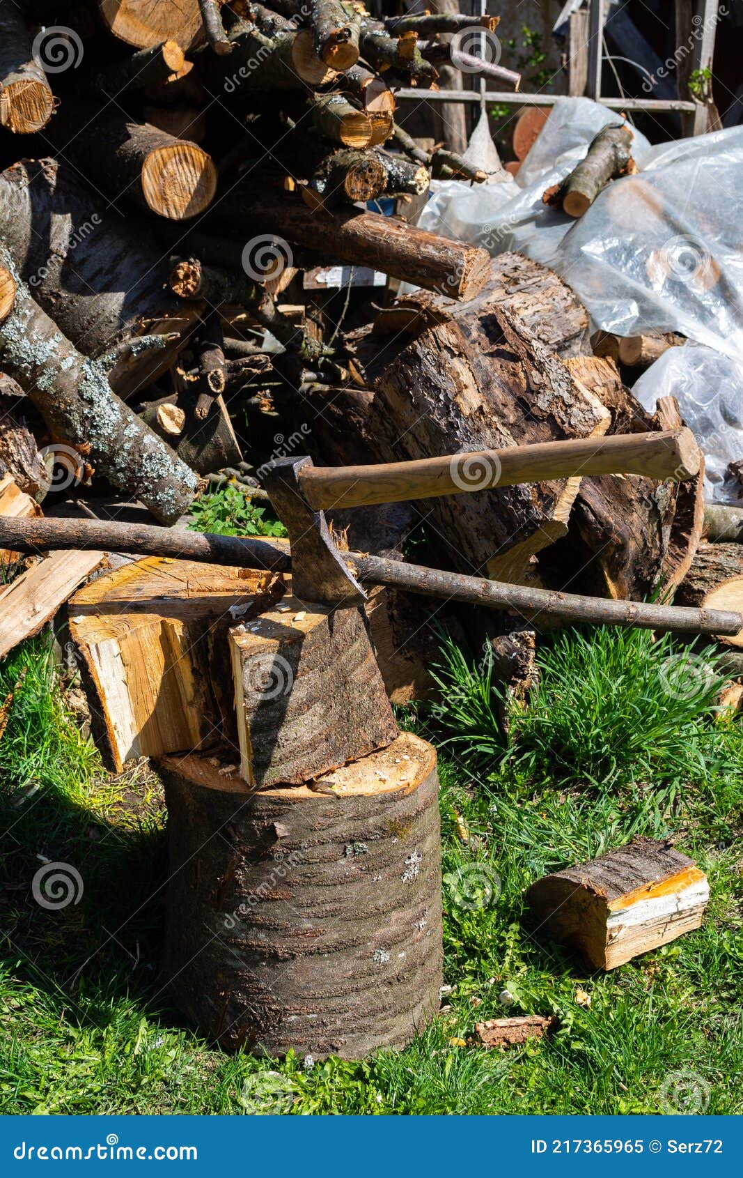 hacher. bûcheron hache et bûche. la récolte du bois. bois de