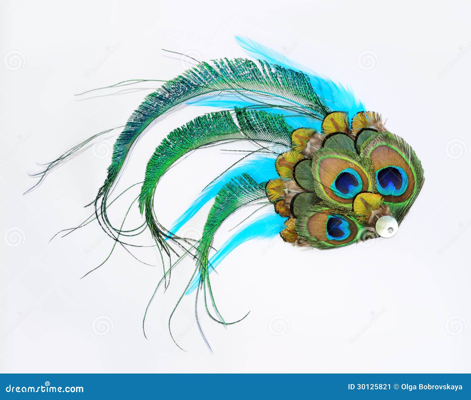 peacock hair accessory
