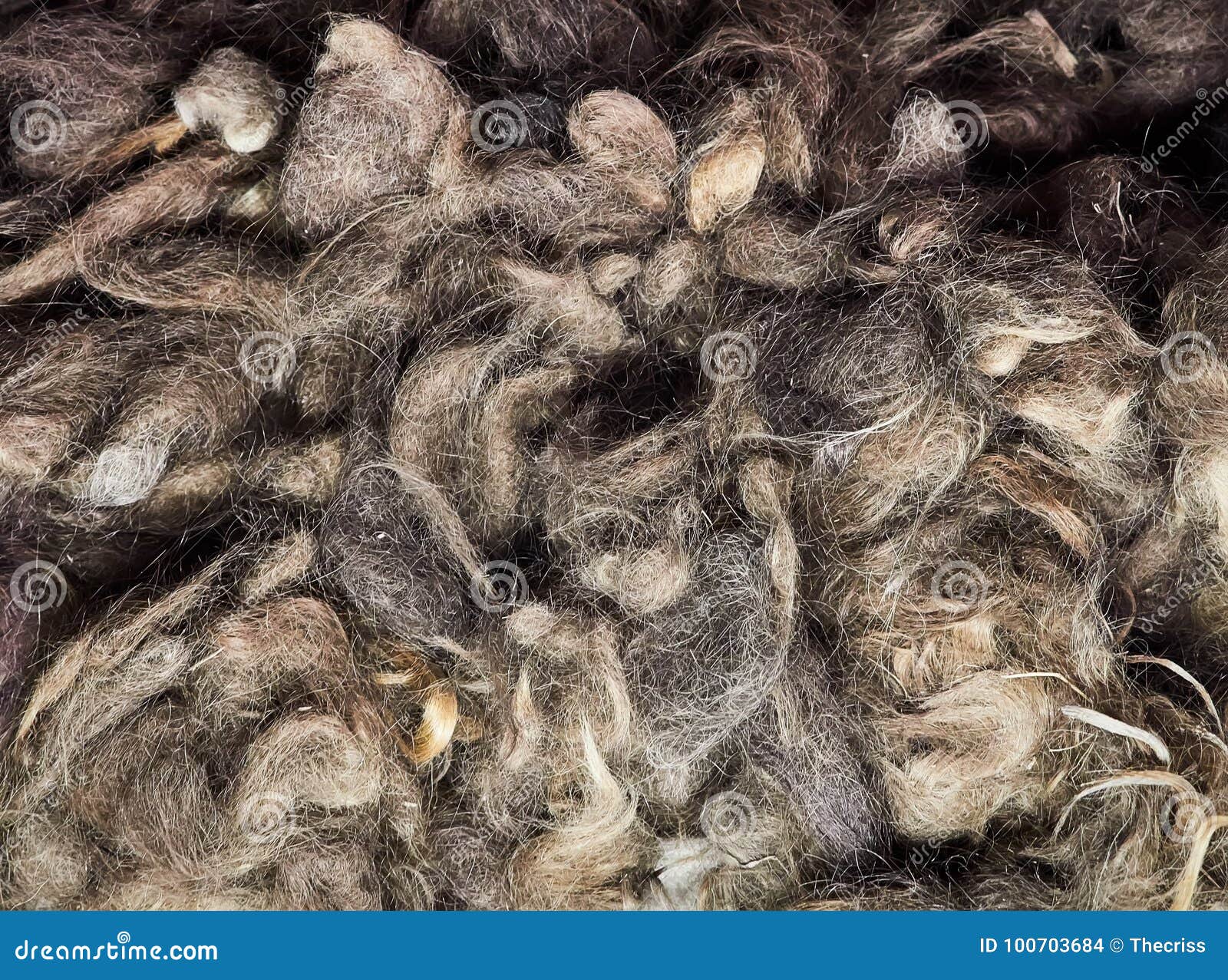 Auschwitz Poland September 2 2017 Hair Of Auschwitz Prisoners