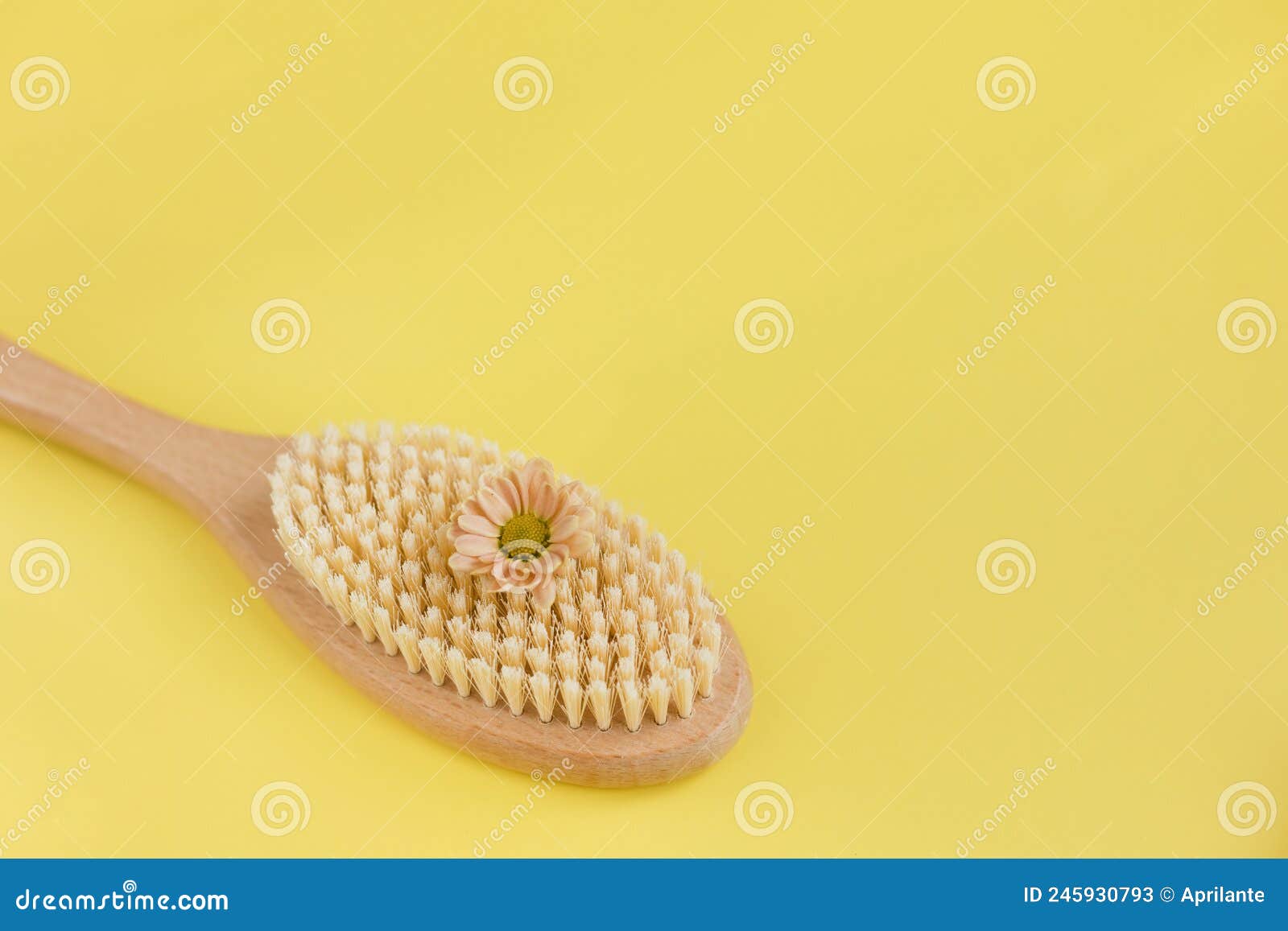 hair brush, anti-cellulite brush banner