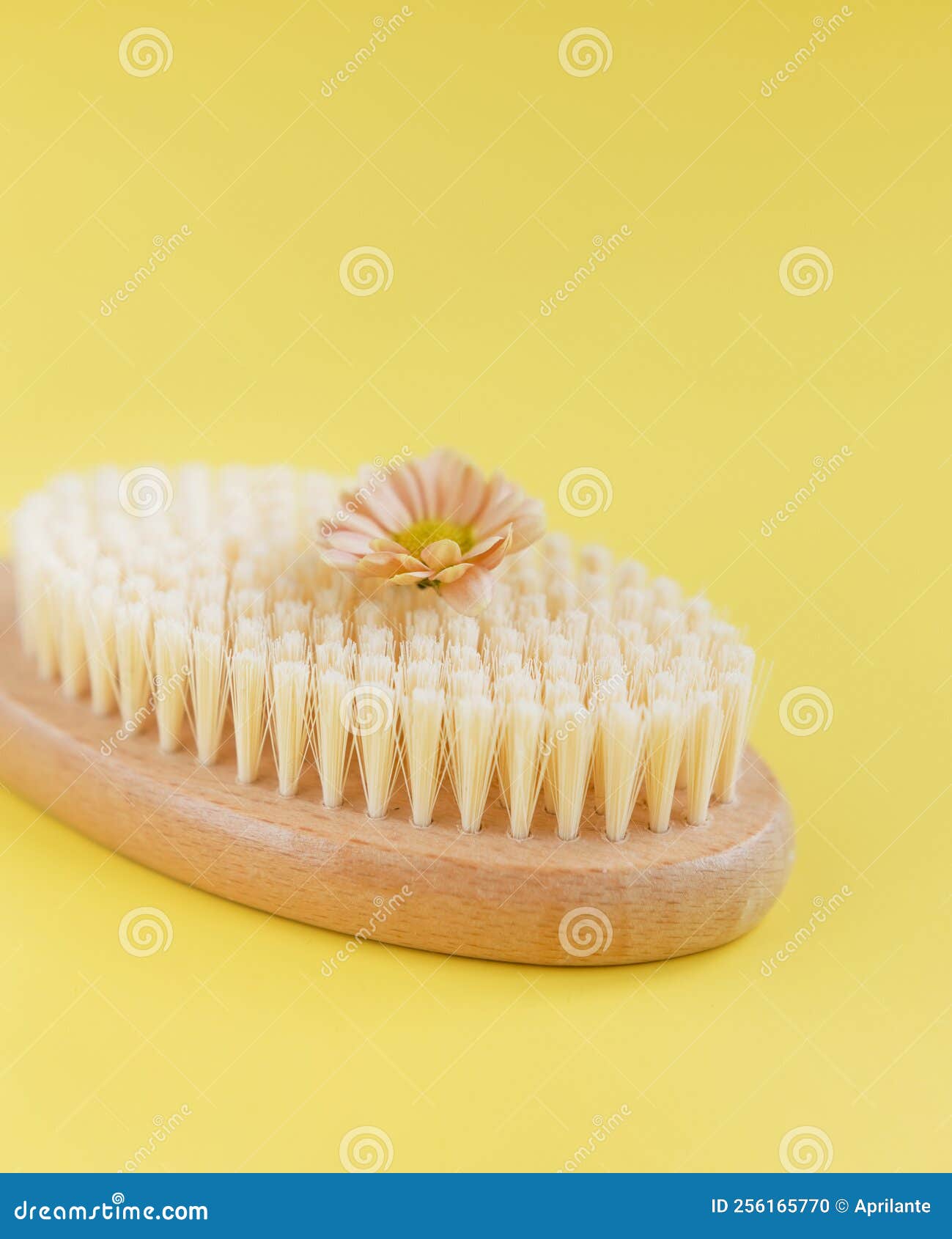 hair brush, anti-cellulite brush with flower