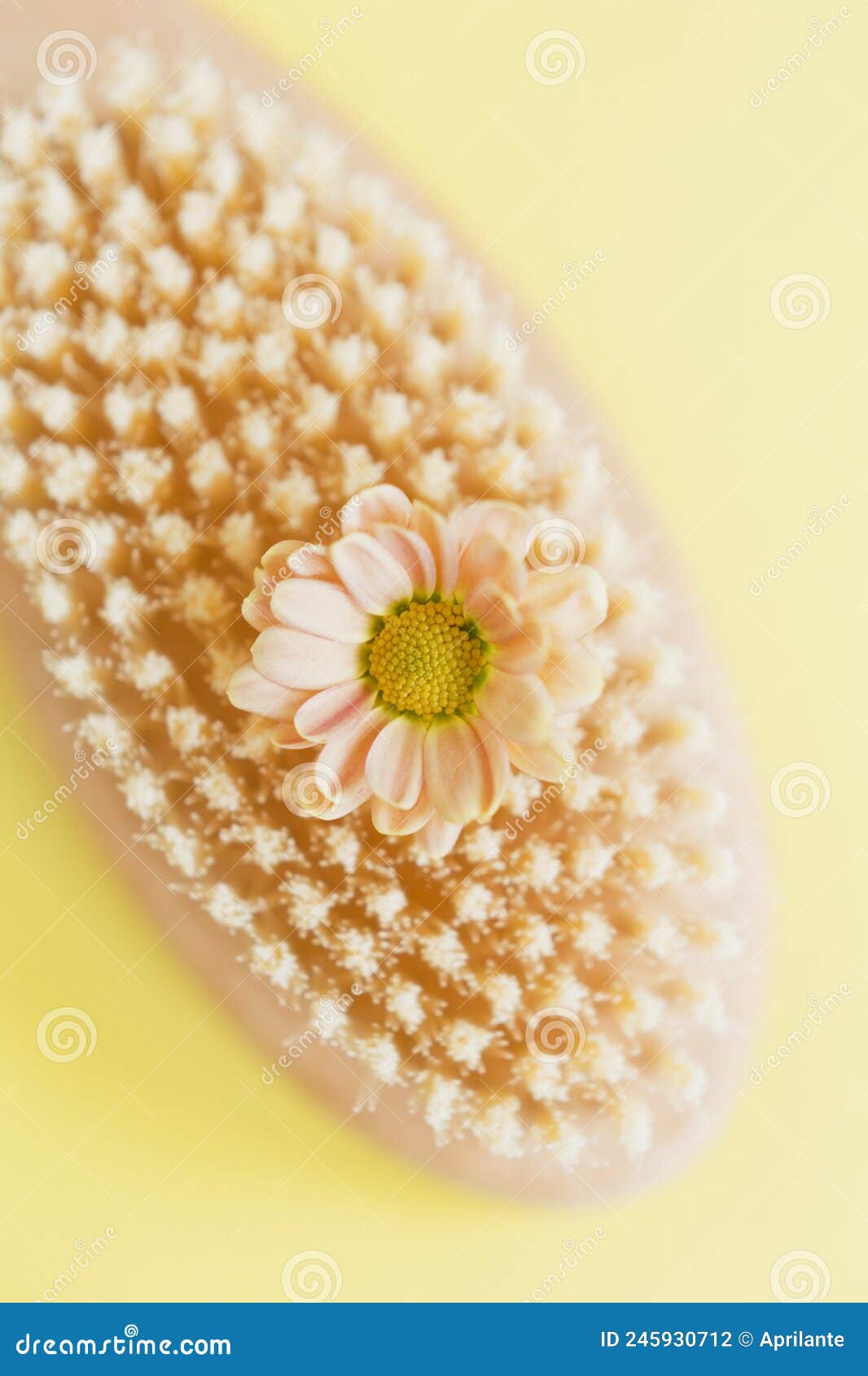 hair brush, anti-cellulite brush with flower