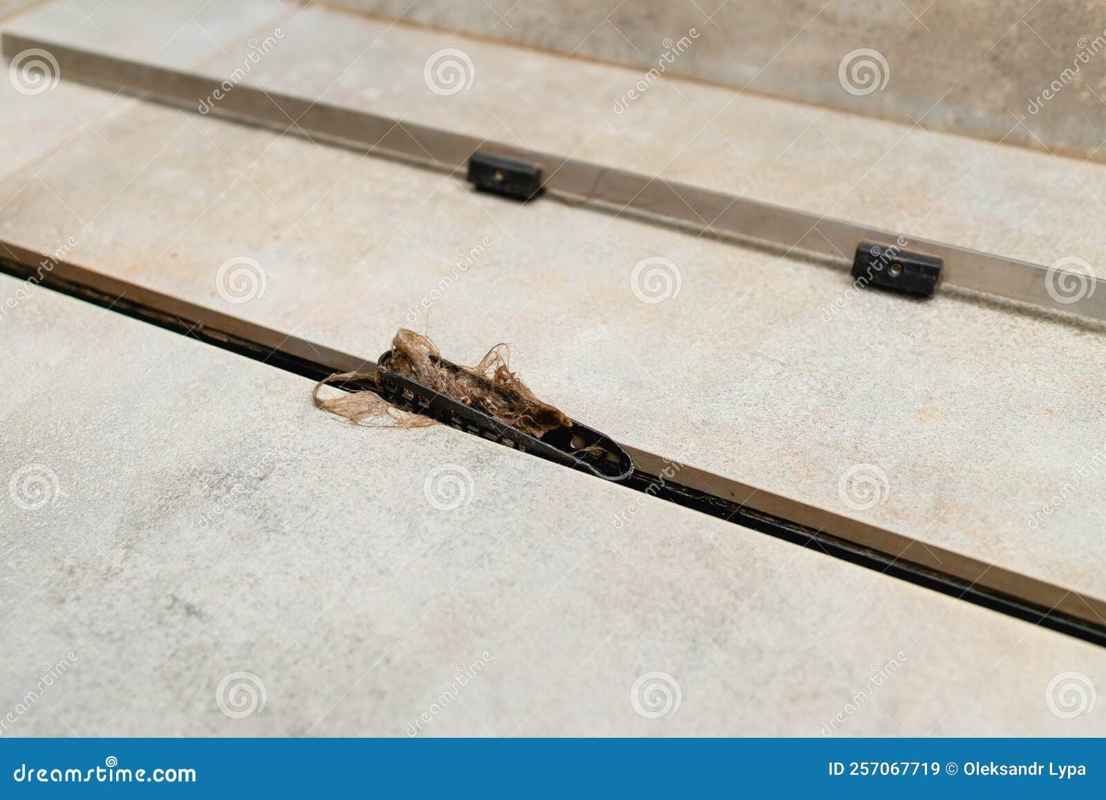 Removing Hair Clump from the Shower Drain Stock Image Image of