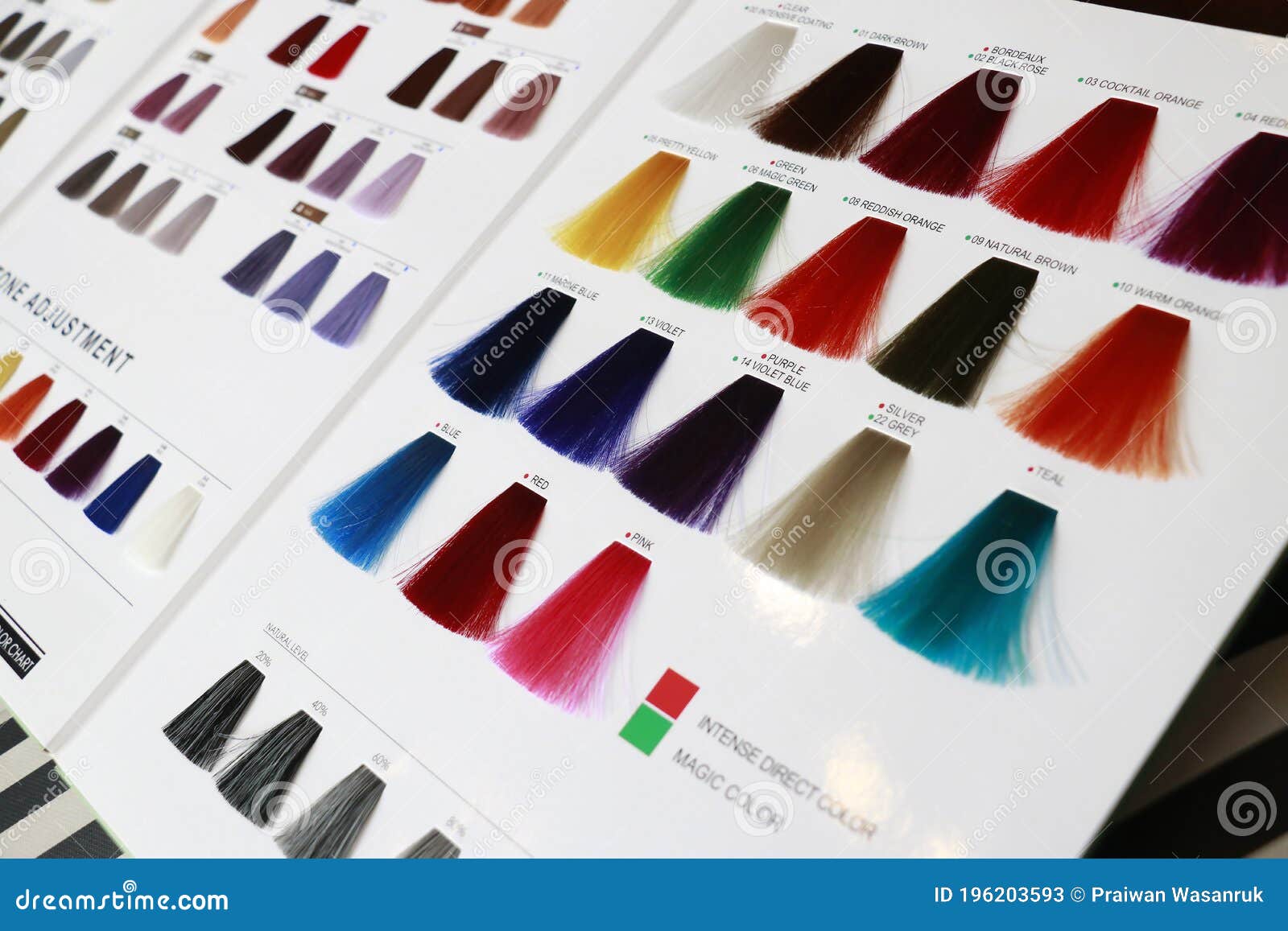 Hair Color Chart in Modern Tone Stock Image - Image of paintbrush, paint: 196203593 Hair Color Chart in Modern Tone Stock Image - Image of paintbrush, paint: 196203593