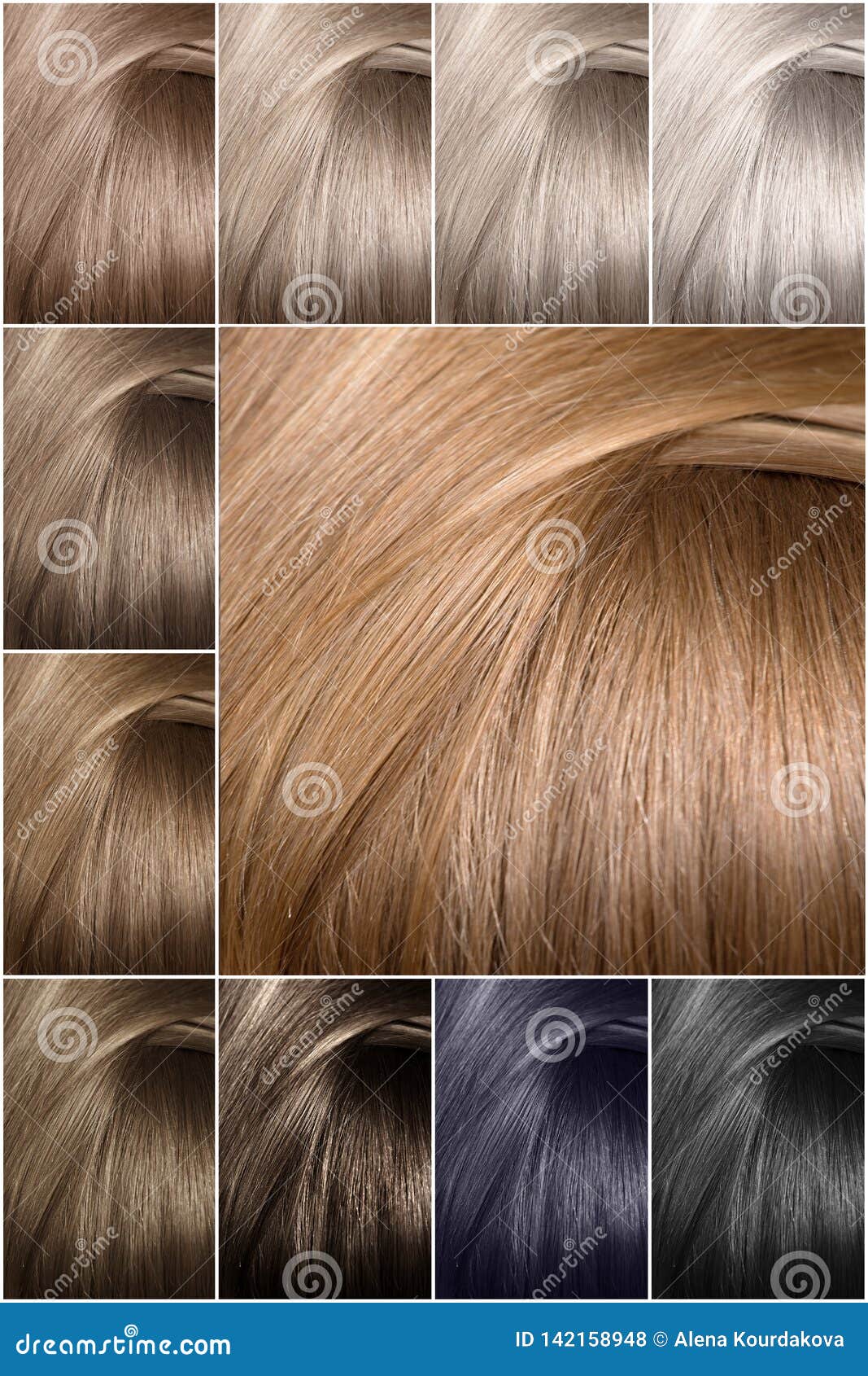 Hair Color Palette with a Wide Range of Samples. Hair Texture in Different  Stock Photo - Image of shade, beauty: 142158948