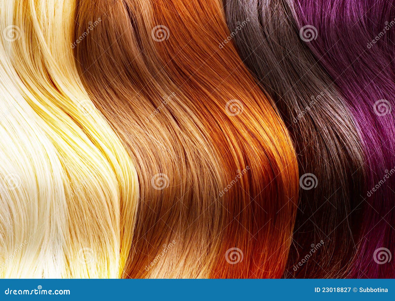 hair colors palette