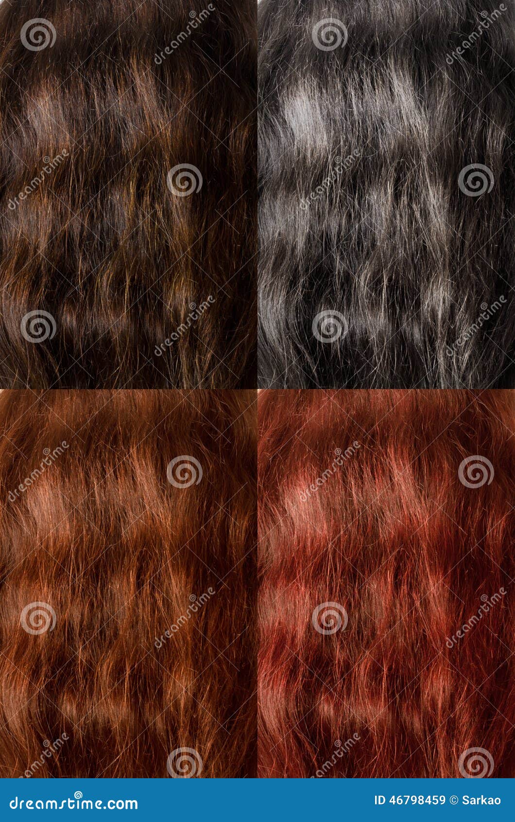 Hair colors stock image. Image of brown, dark, black - 46798459