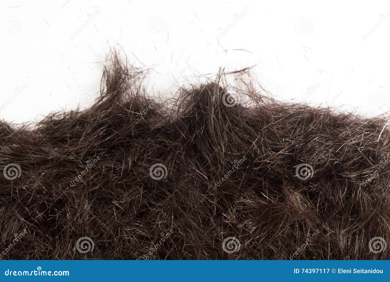 Hair Cut Off On The Floor Stock Image Image Of Hairstyle 74397117