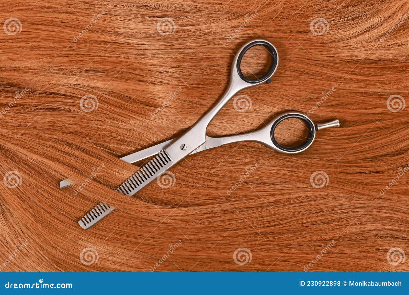 hair cutting concept with shiny hair and thinning shears