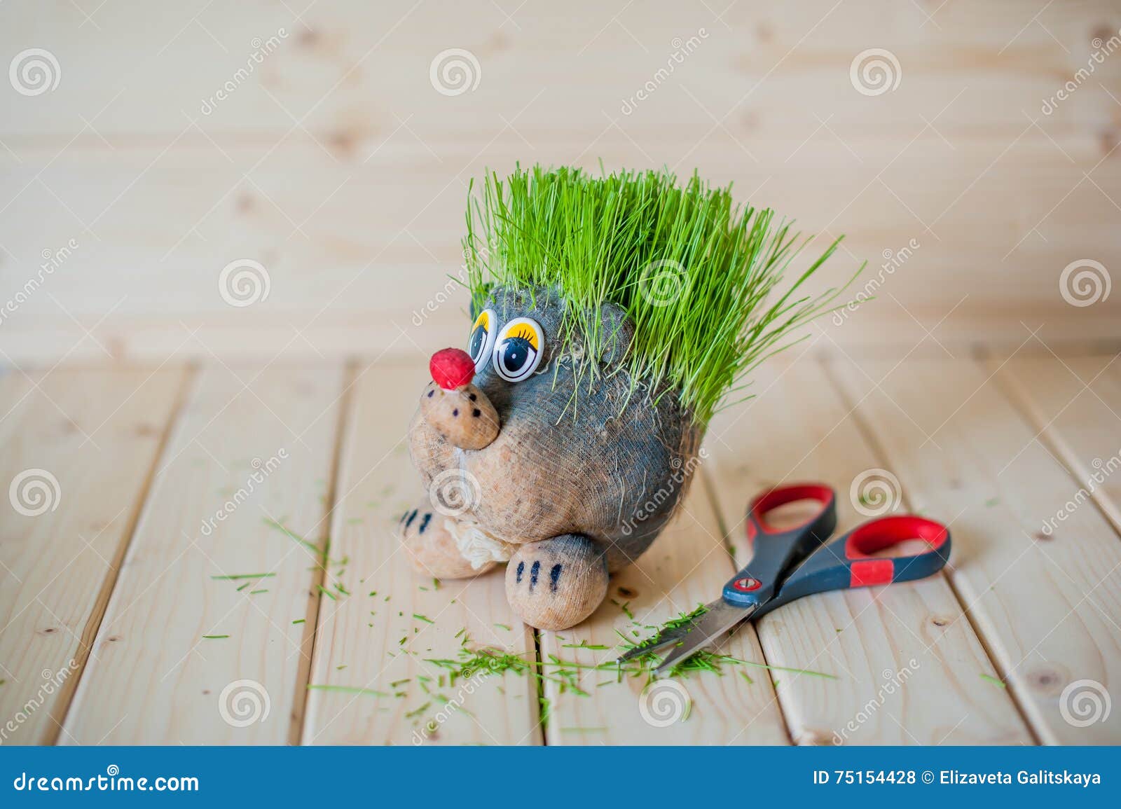 Hair Cutting, Hedgehog with Needles of Grass Stock Photo Image of