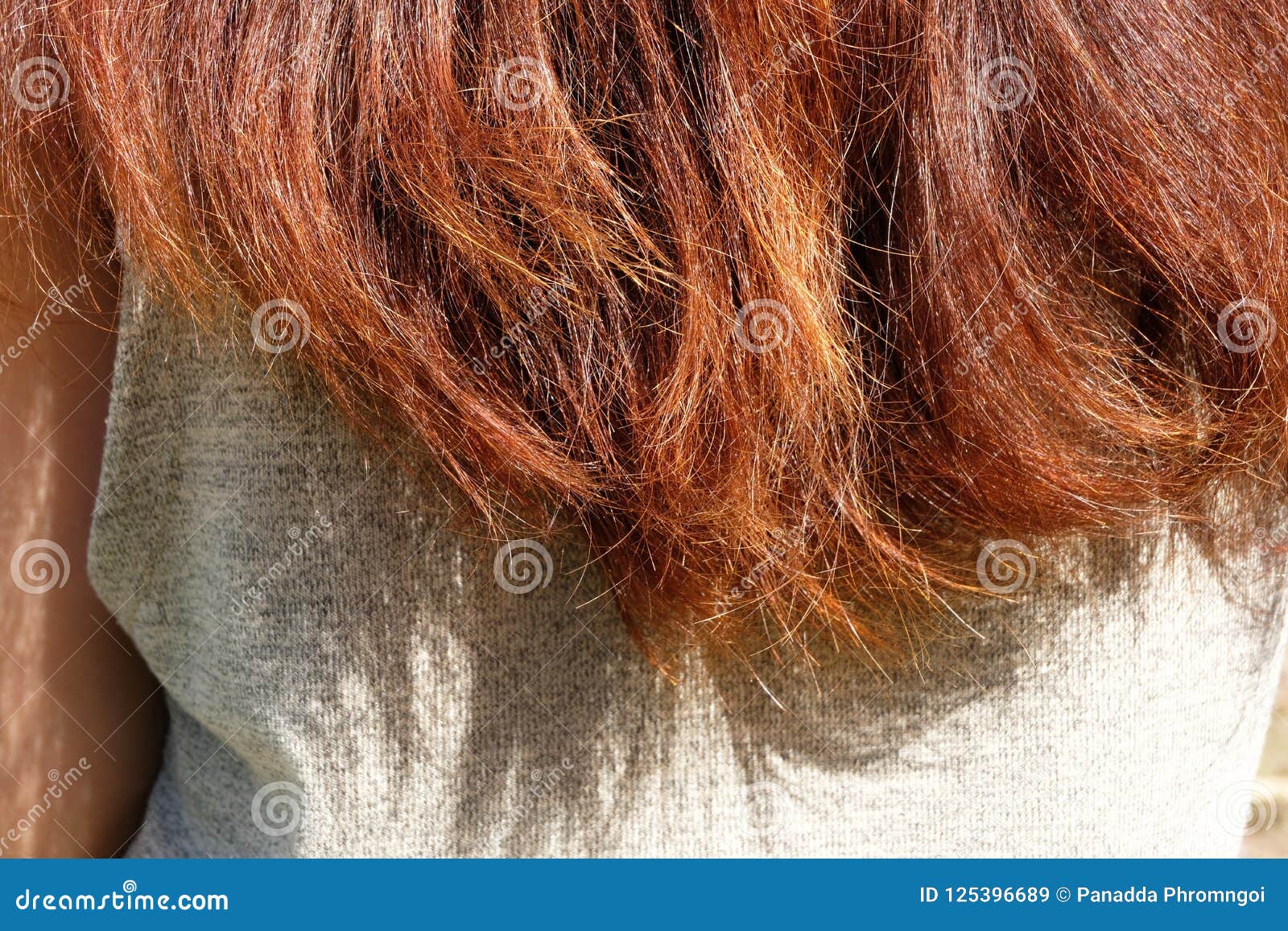 Hair Damage,Hair Damage, Health and Beauty Concept. Stock Image - Image of hairdo, hair: 125396689 Hair Damage,Hair Damage, Health and Beauty Concept. Stock Image - Image of hairdo, hair: 125396689