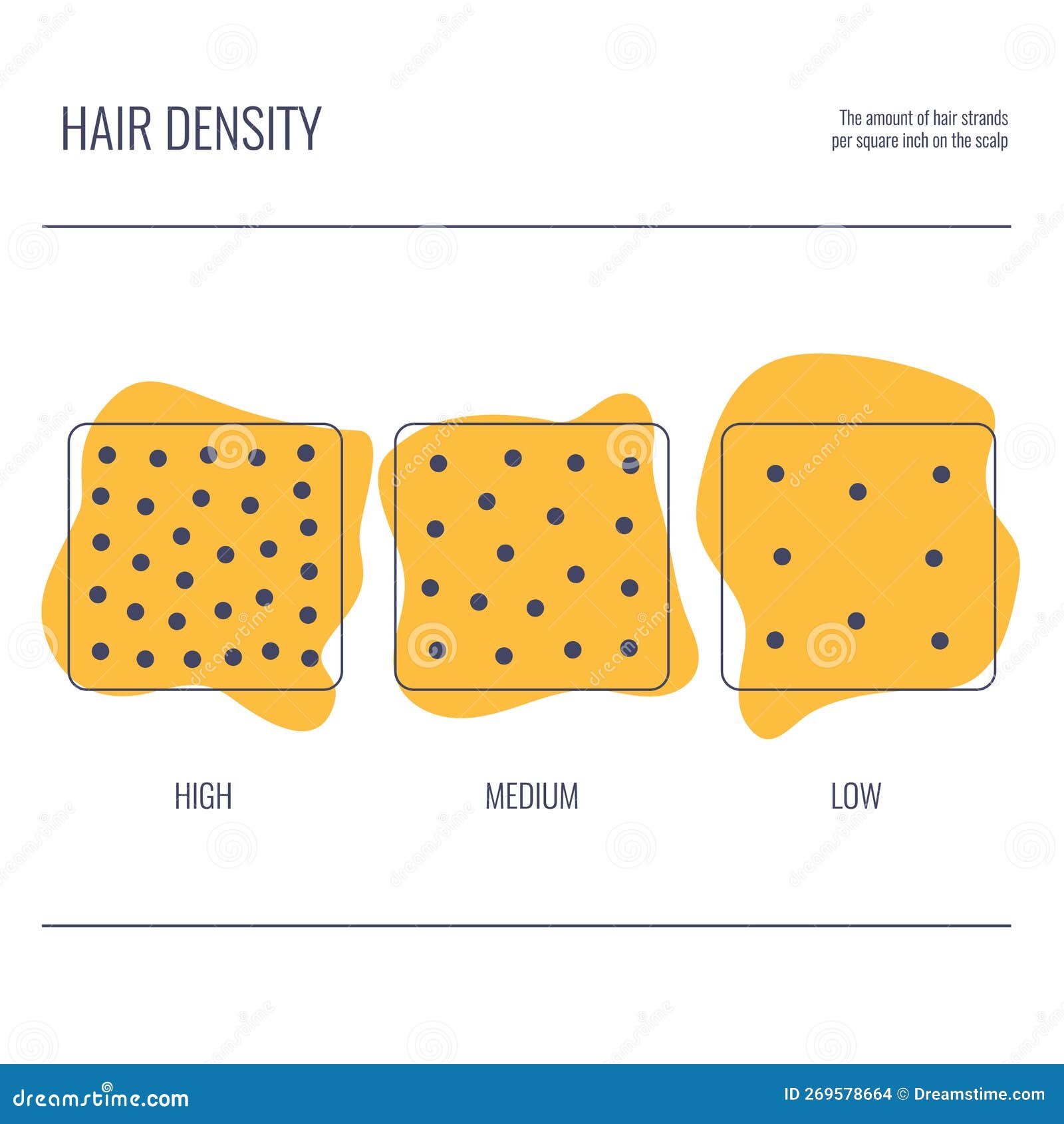 Hair Density Types Chart of Low, Medium, High Strand Volume Stock