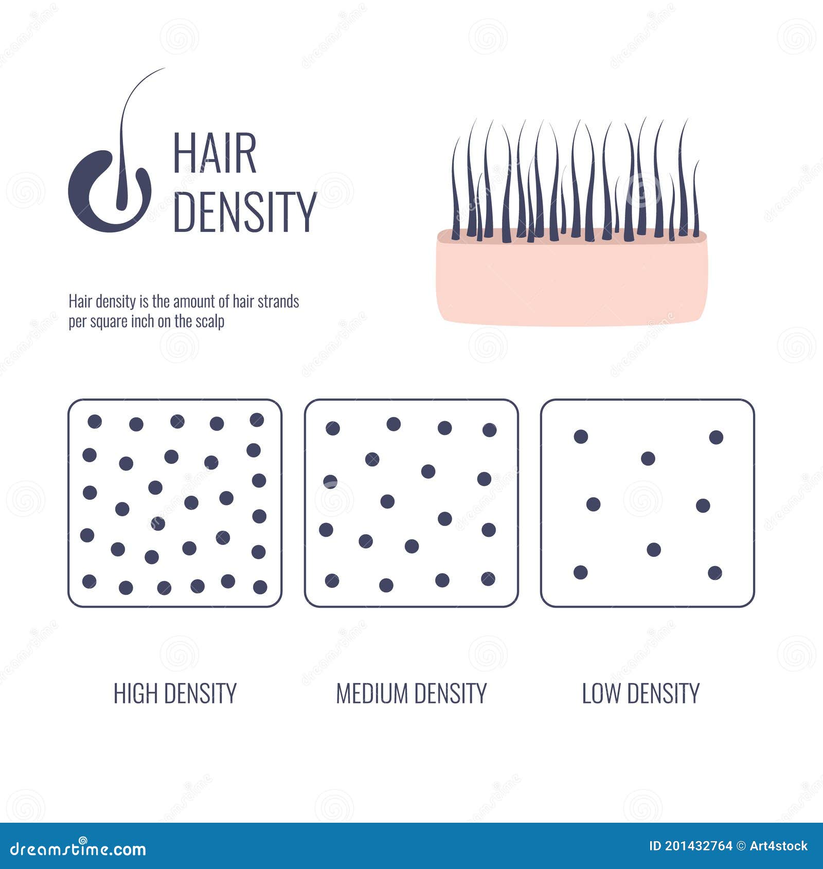 Hair Density Types Chart of Low, Medium, High Strand Volume Stock  Illustration - Illustration of treatment, chart: 201432764
