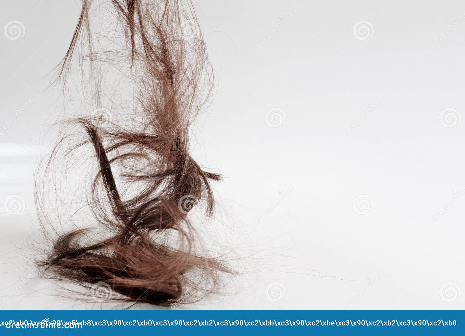 Hair Falls Down after Cutting. the Cut-off Brown Hair Falls from Above in a  Heap, Hanging in the Air Stock Photo - Image of care, hair: 184246546