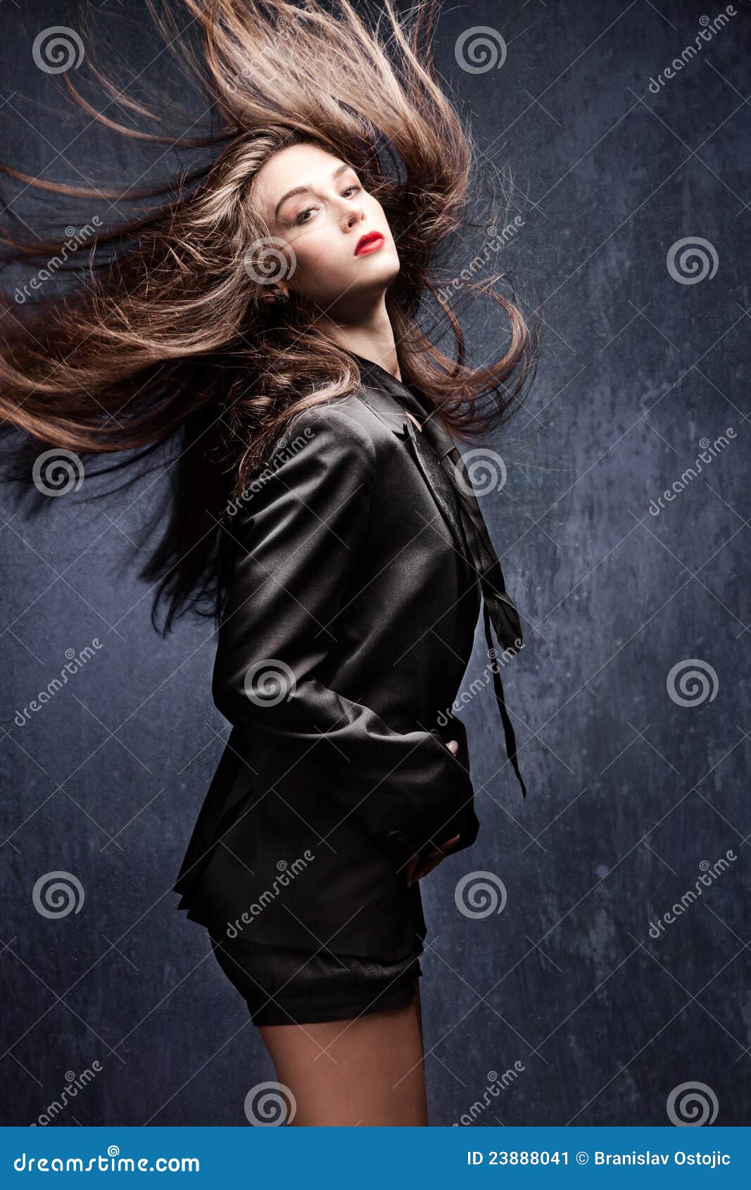 Hair Fly Stock Image - Image: 23888041