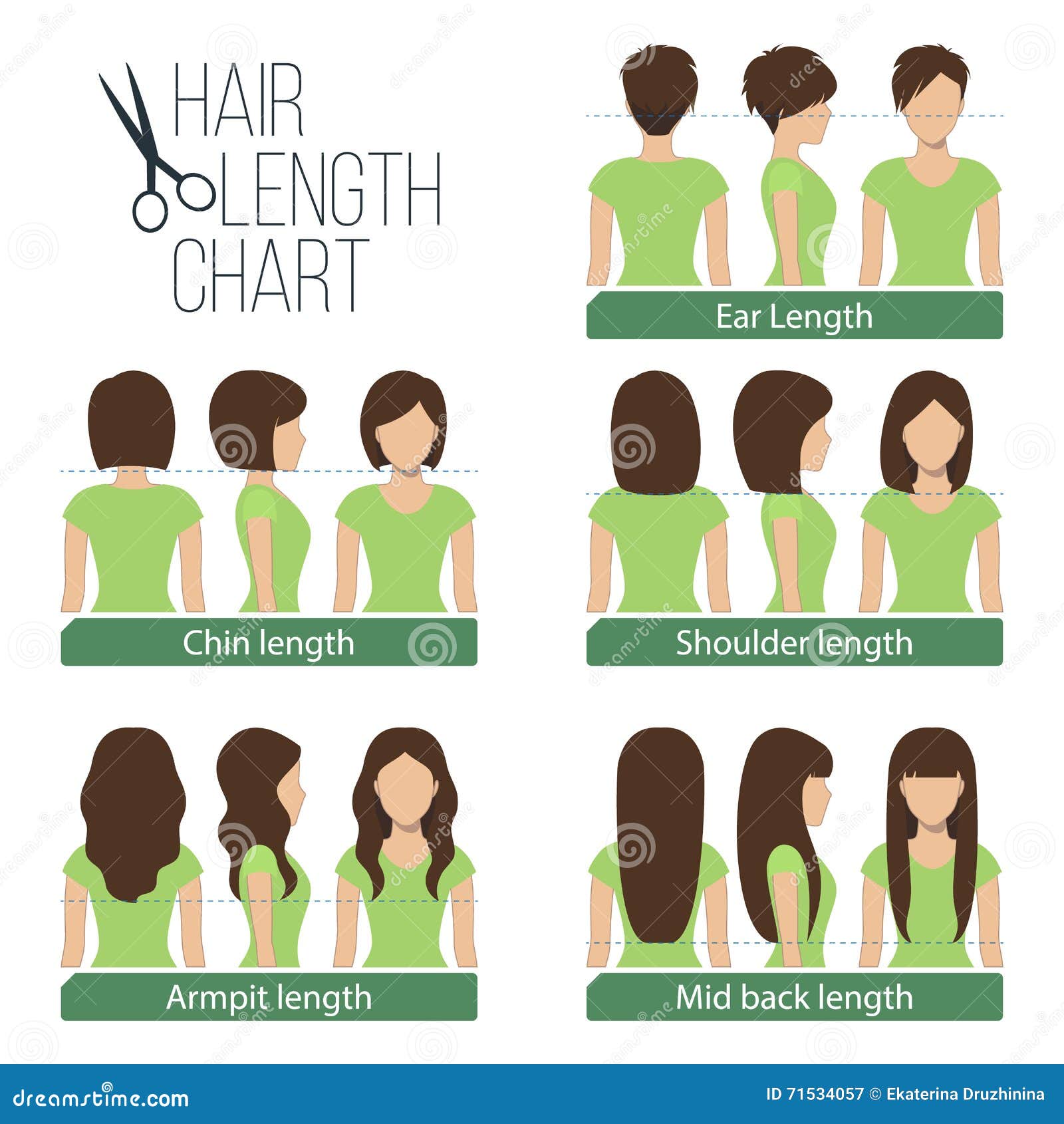 Hair Length Chart Stock Vector Illustration Of Hairstyle