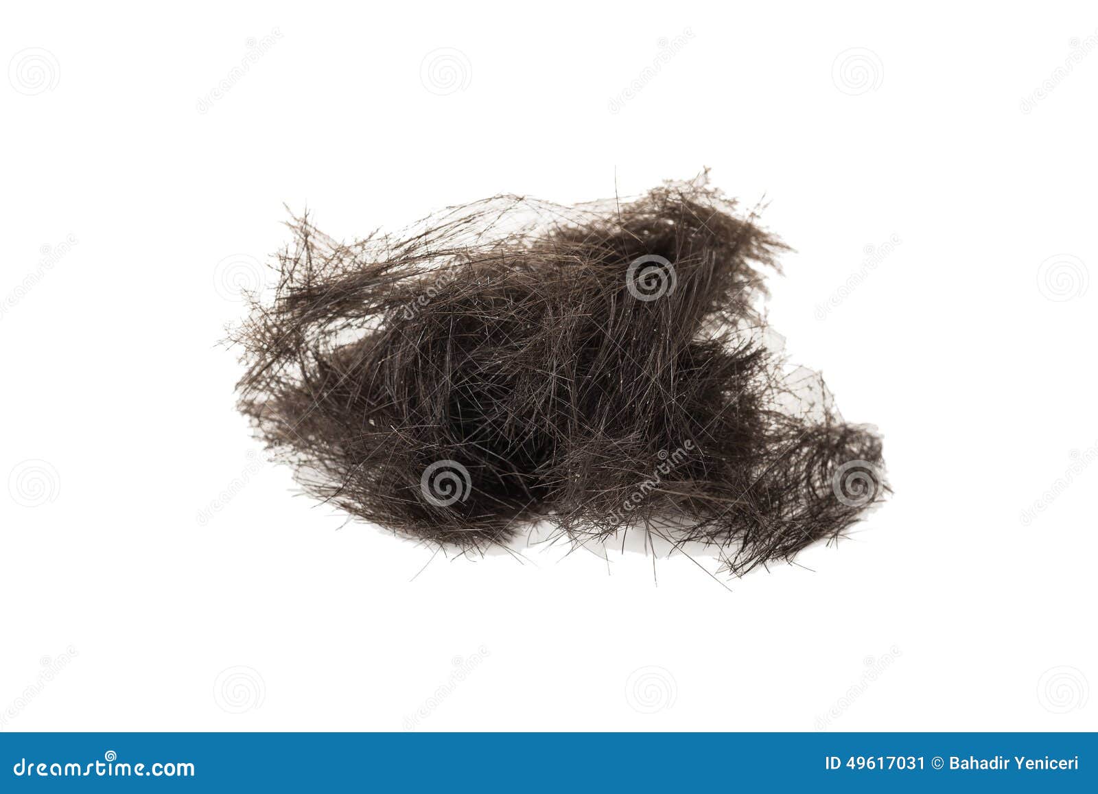 Male Pubic Hair Stock Photos - Free & Royalty-Free Stock Photos from  Dreamstime