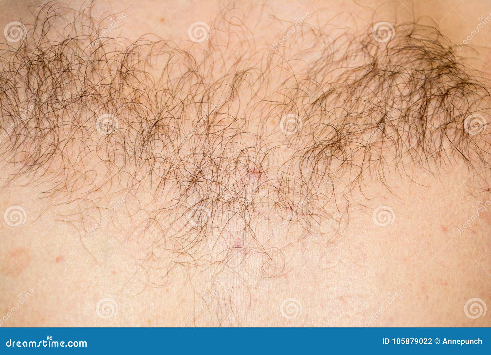 26,454 Chest Hair Stock Photos - Free & Royalty-Free Stock Photos from  Dreamstime