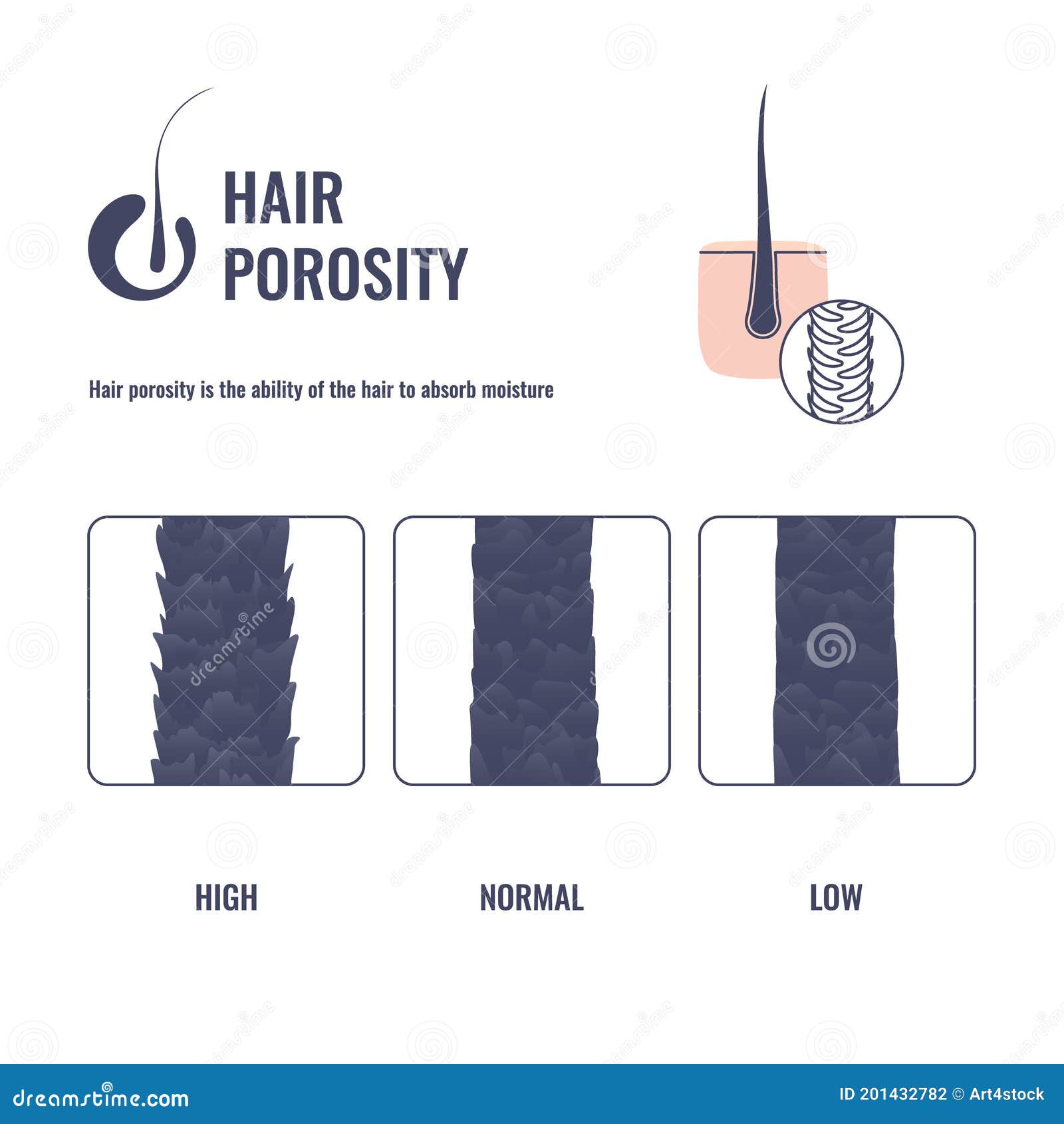 Hair Porosity Types Chart of Low, Normal, High Porous Strand Stock  Illustration - Illustration of vitamins, chart: 201432782
