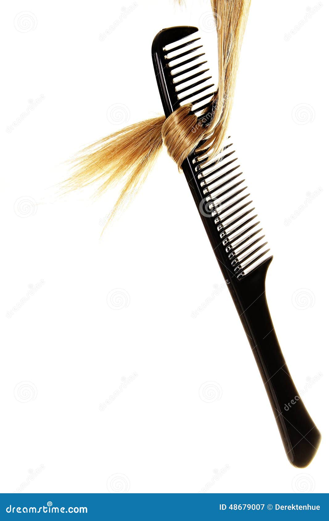 Hair Stylist Stock Photos Free / Female Hair Stylist Owner Working In