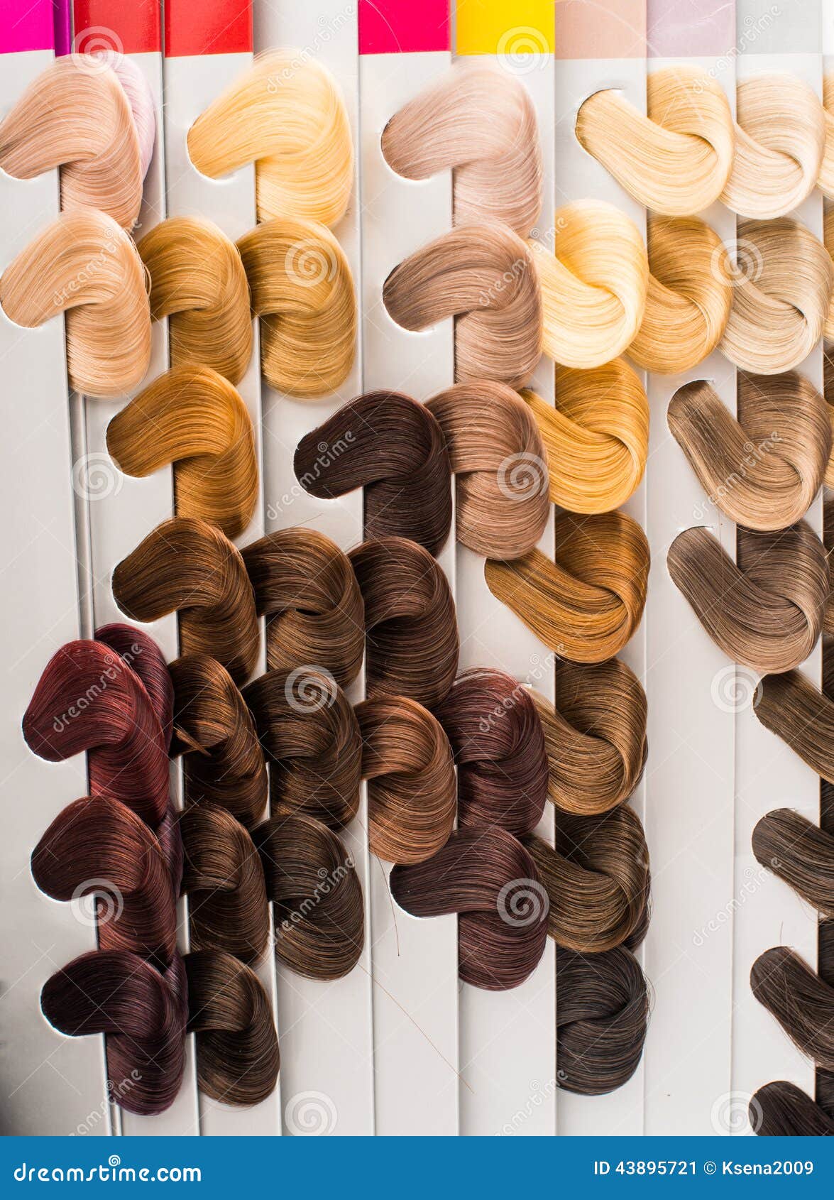 Hair Samples of Different Colors Stock Image Image of category
