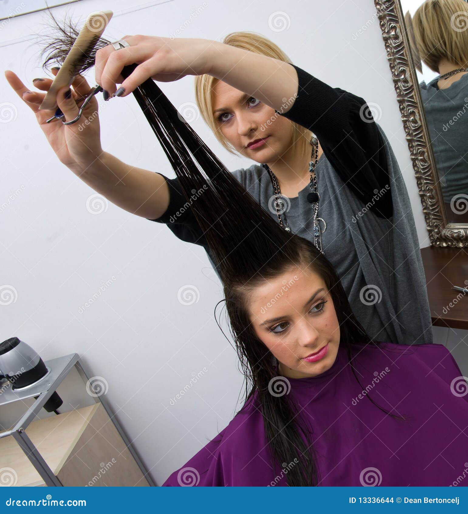 Hair Stylist At Work Stock Images - Image: 13336644